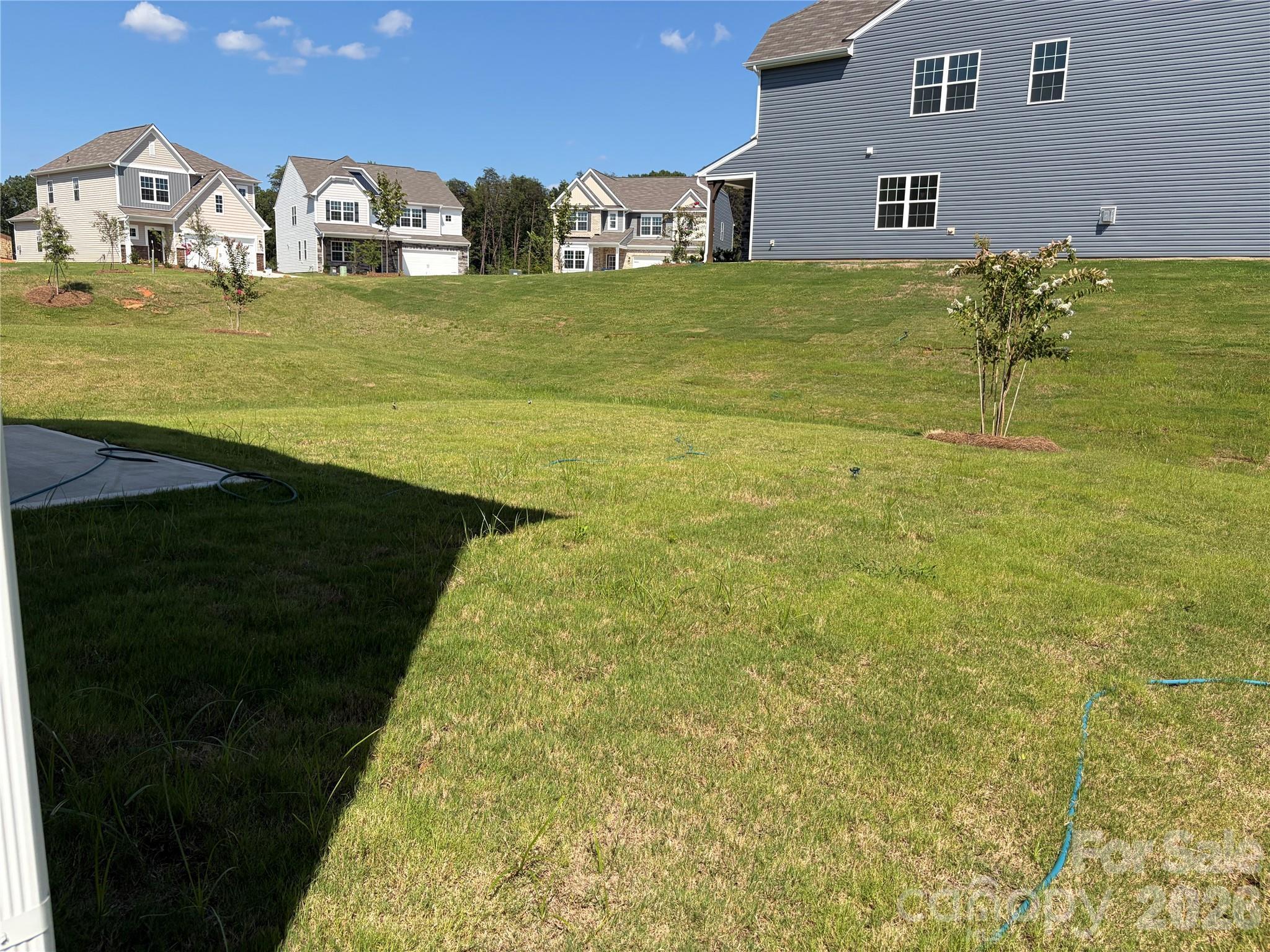2087 Morning Gold Drive Property Photo 23
