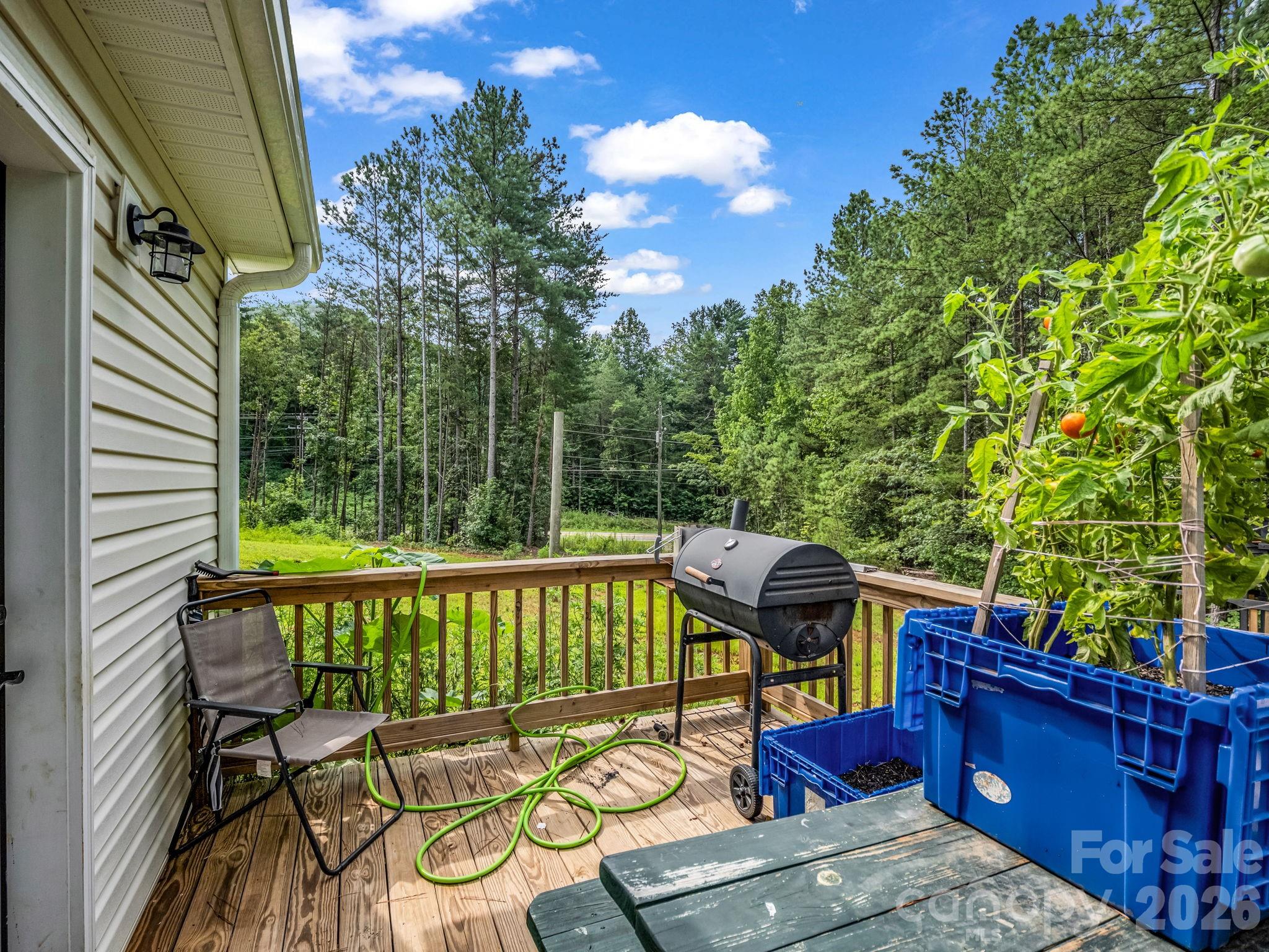 47 Heartleaf Lane Property Photo 23