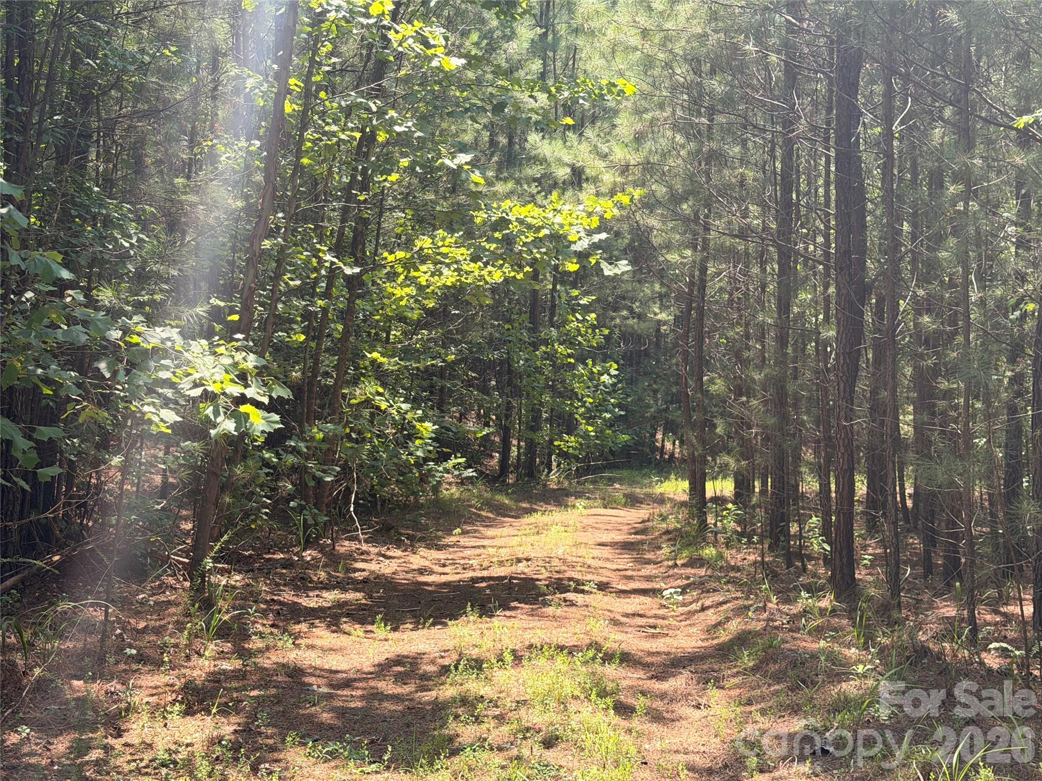 000 Thompson Lake Road Property Photo 1