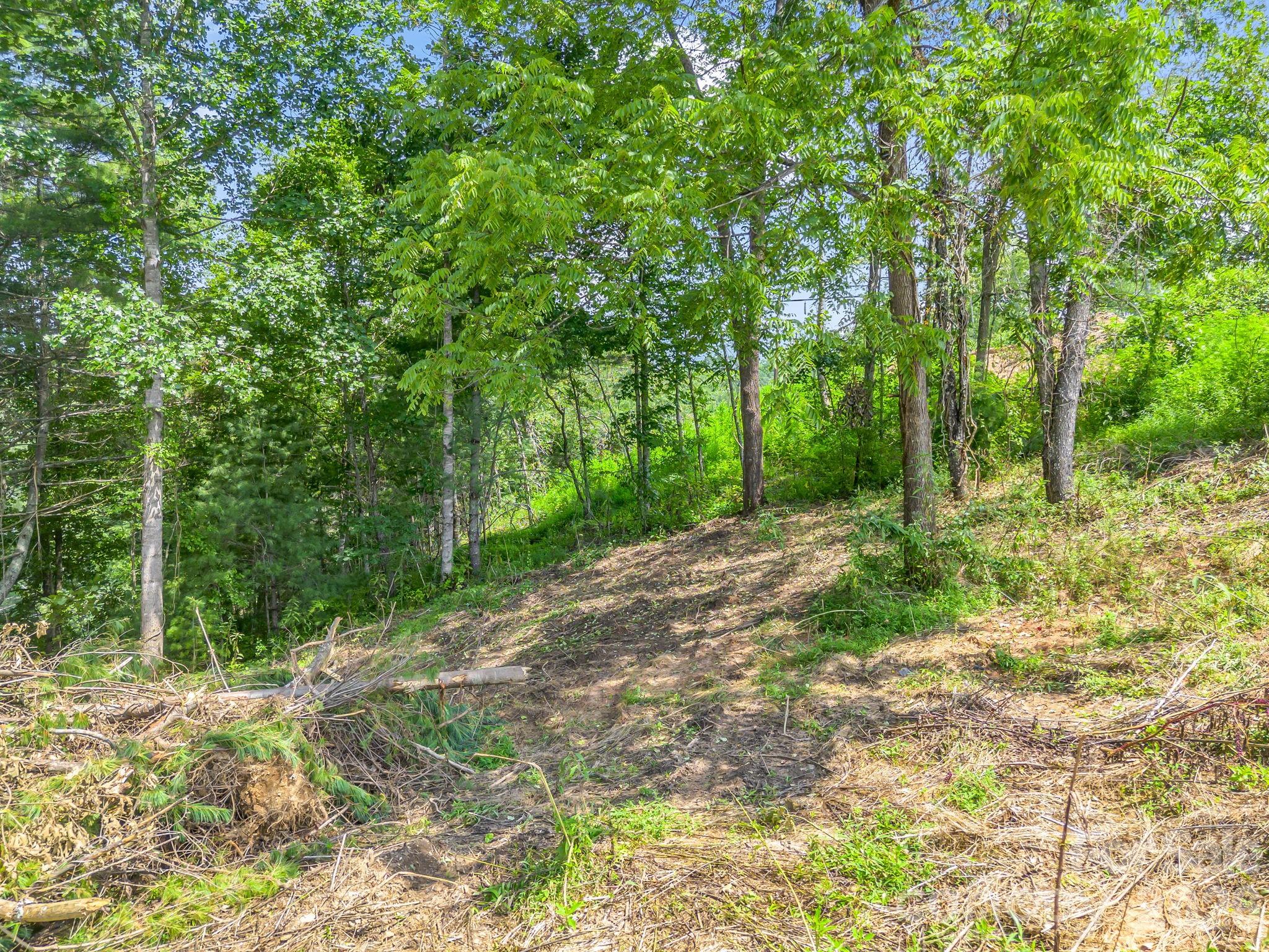 50 Erin Glen Court Property Photo 8