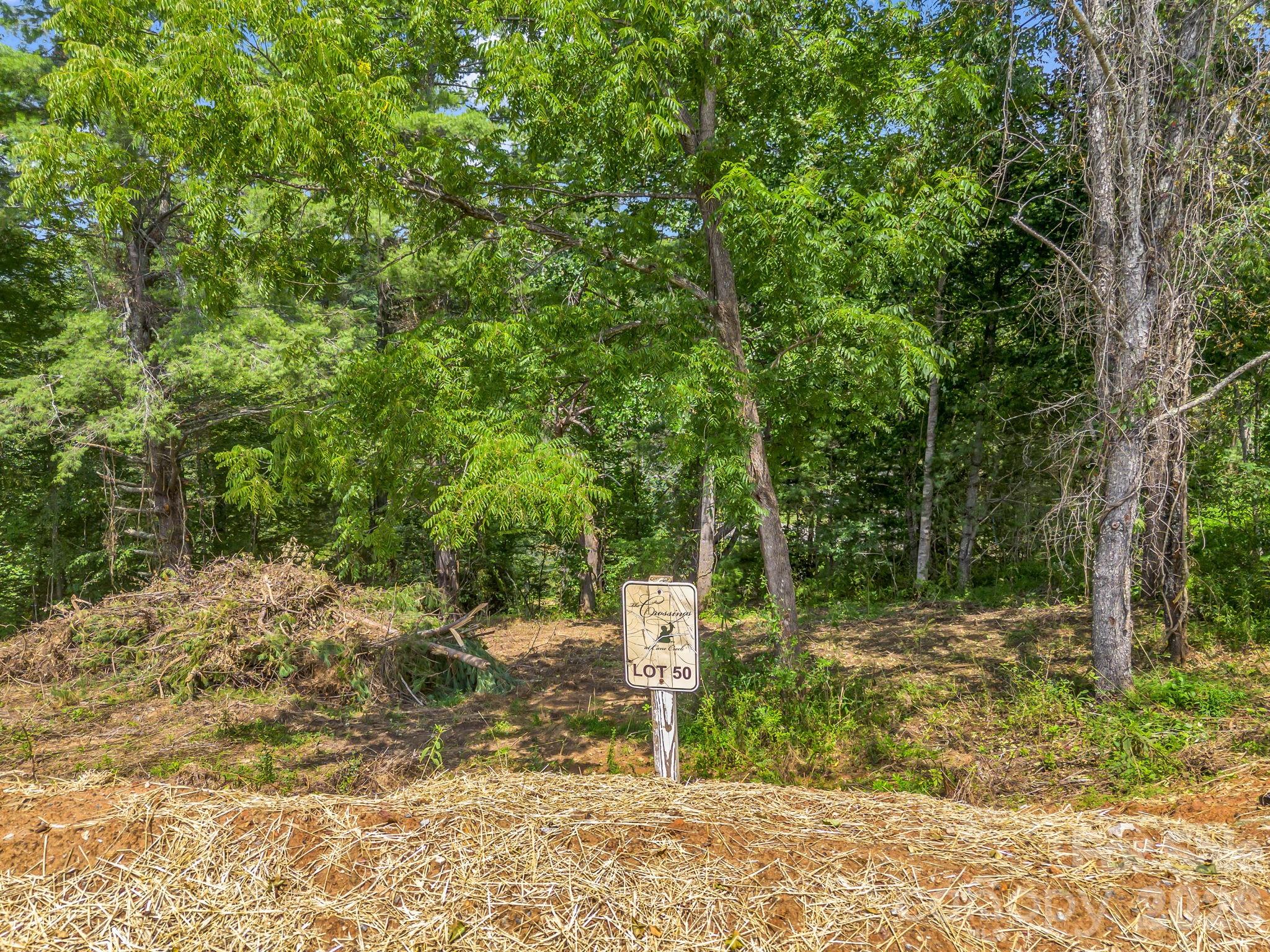 50 Erin Glen Court Property Photo 10