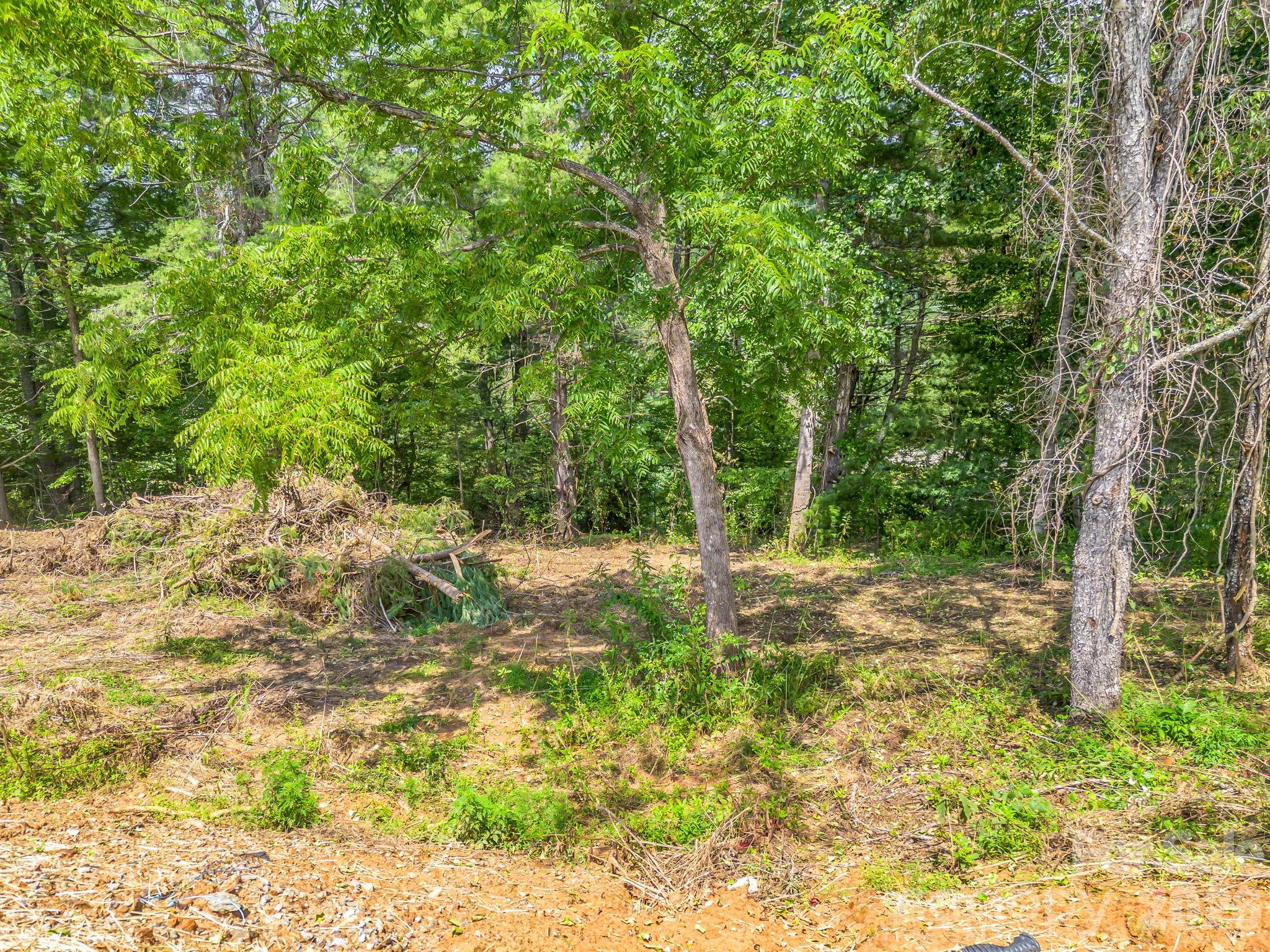 50 Erin Glen Court Property Photo 11
