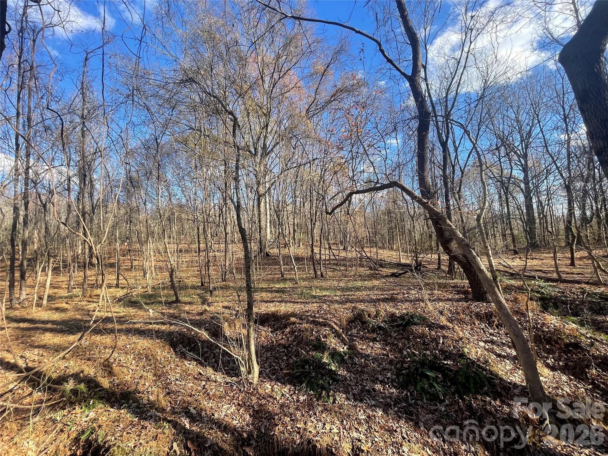 00 Mill Creek Road Property Photo 35