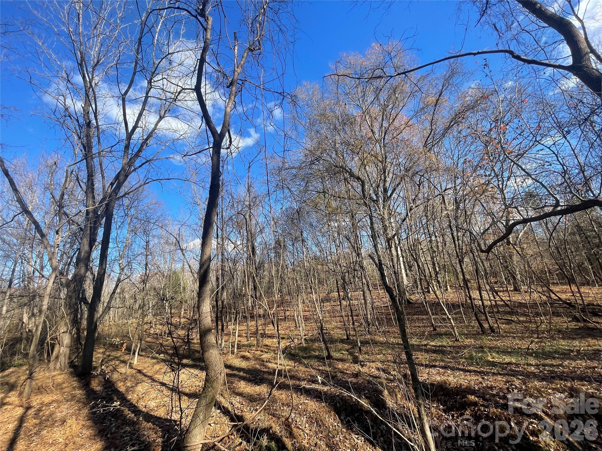 00 Mill Creek Road Property Photo 37