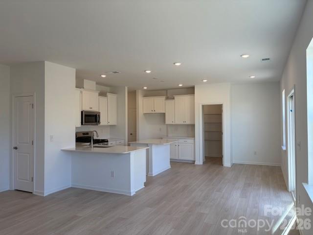 1530 Swallow Tail Drive 157 Property Photo 4