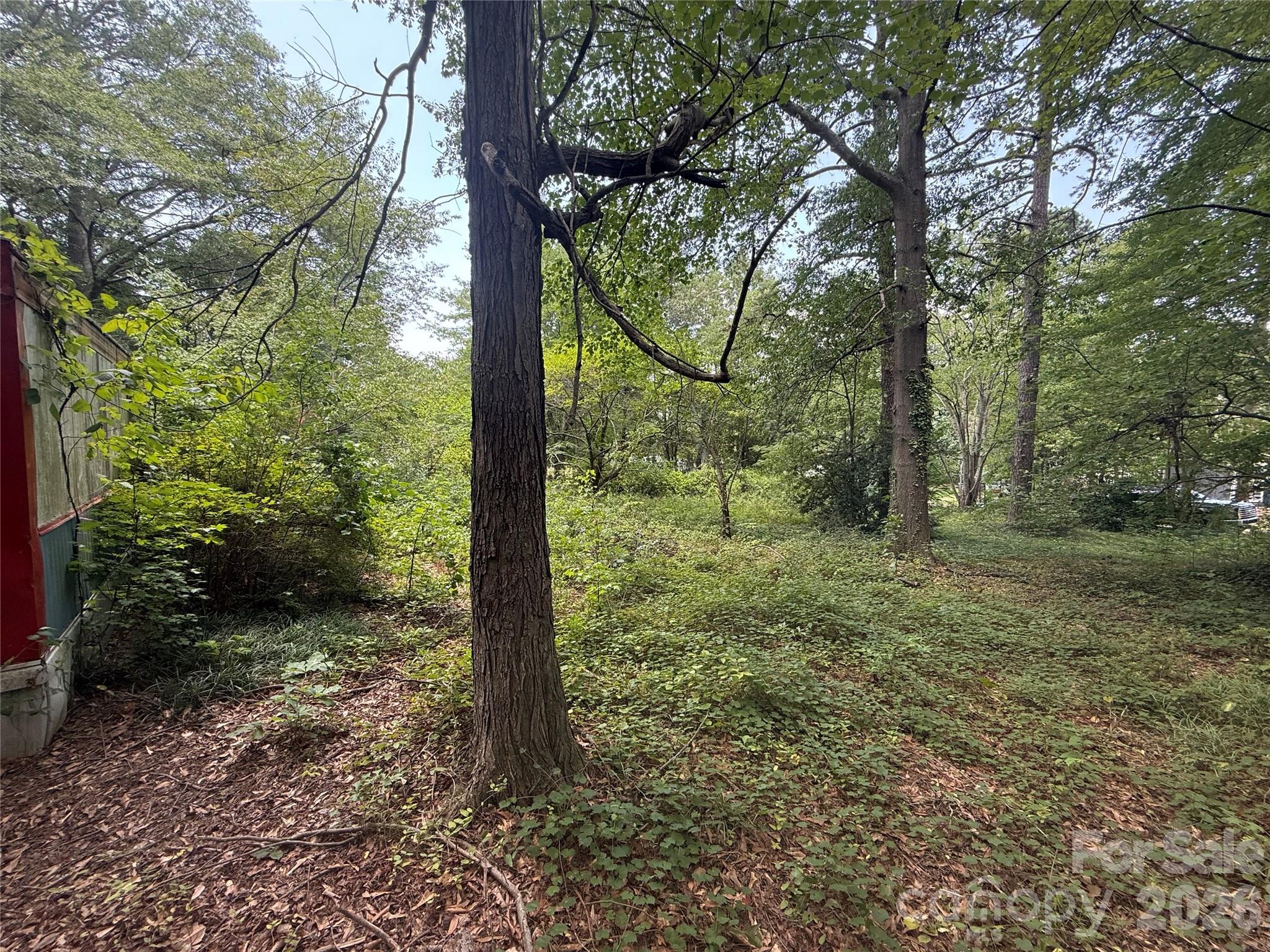 1710 Black Oak Lane Property Photo 9