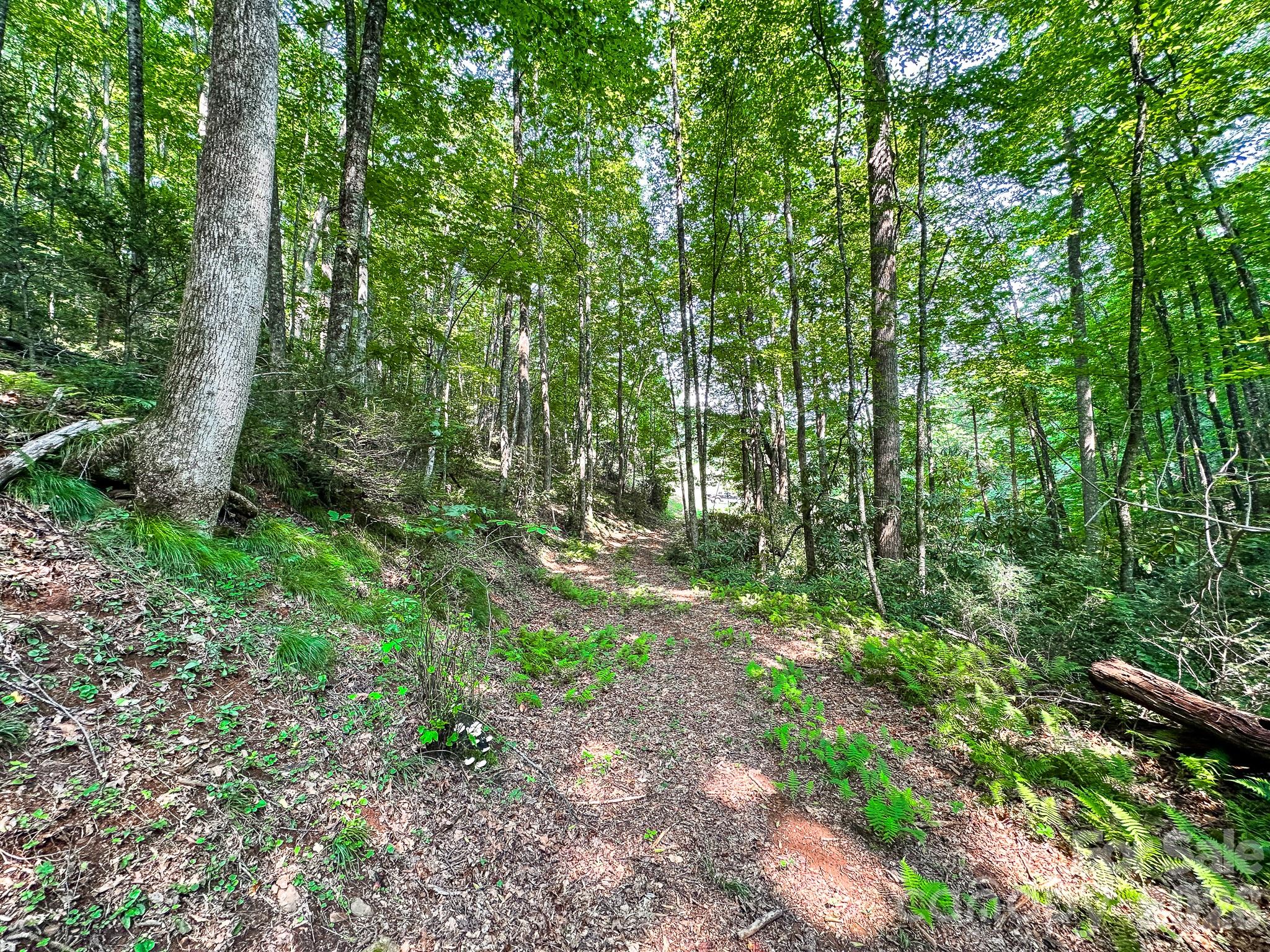 82 Trout Haven Lane Property Photo 46