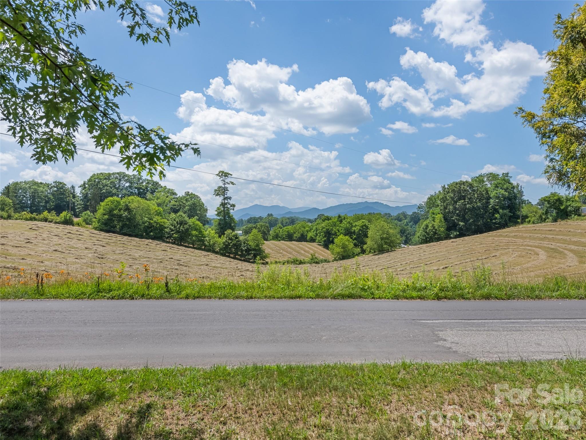 145 Haynes Cove Property Photo 8