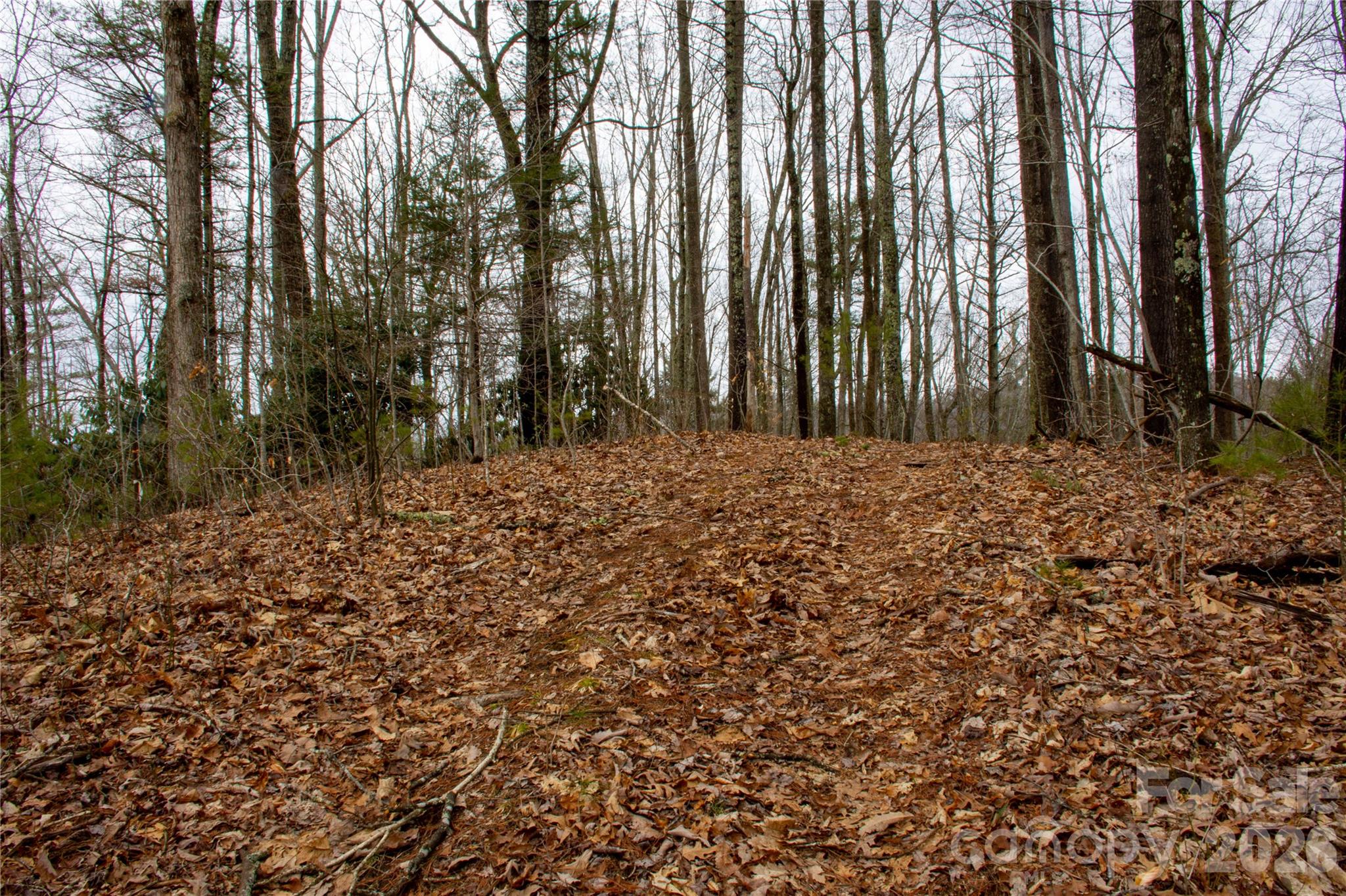 0 Ashland Mountain Road Property Photo 2