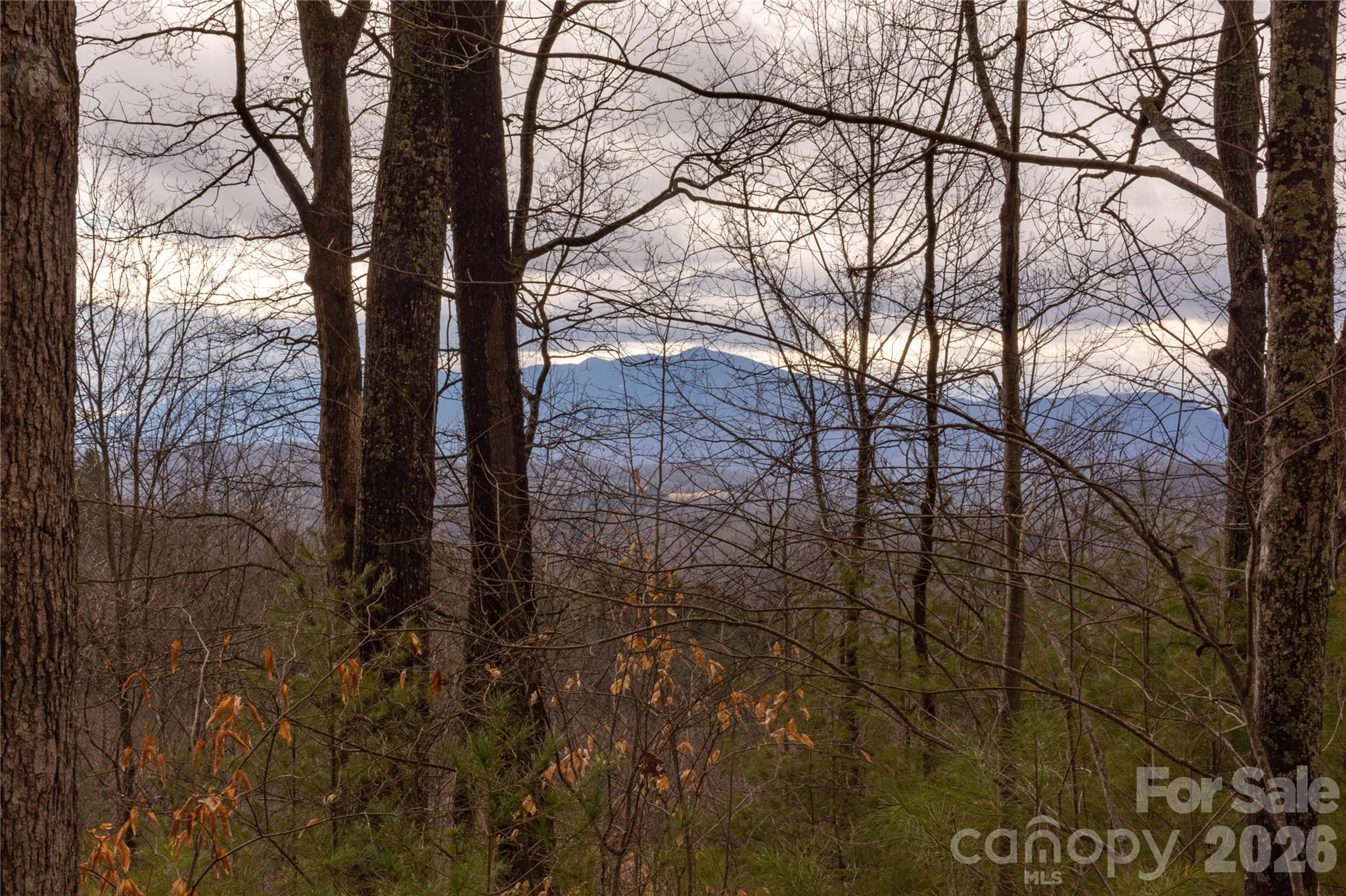 0 Ashland Mountain Road Property Photo 3