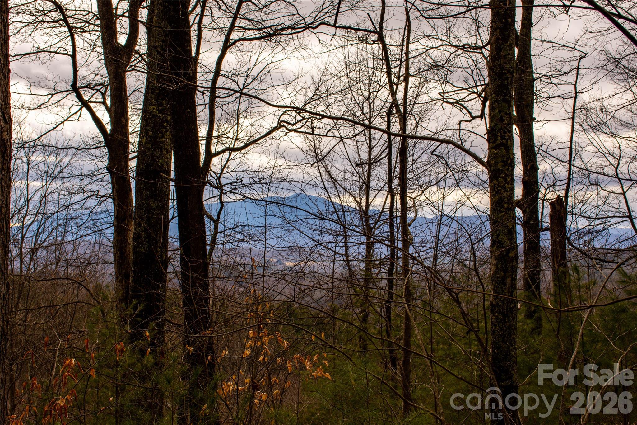 0 Ashland Mountain Road Property Photo 4