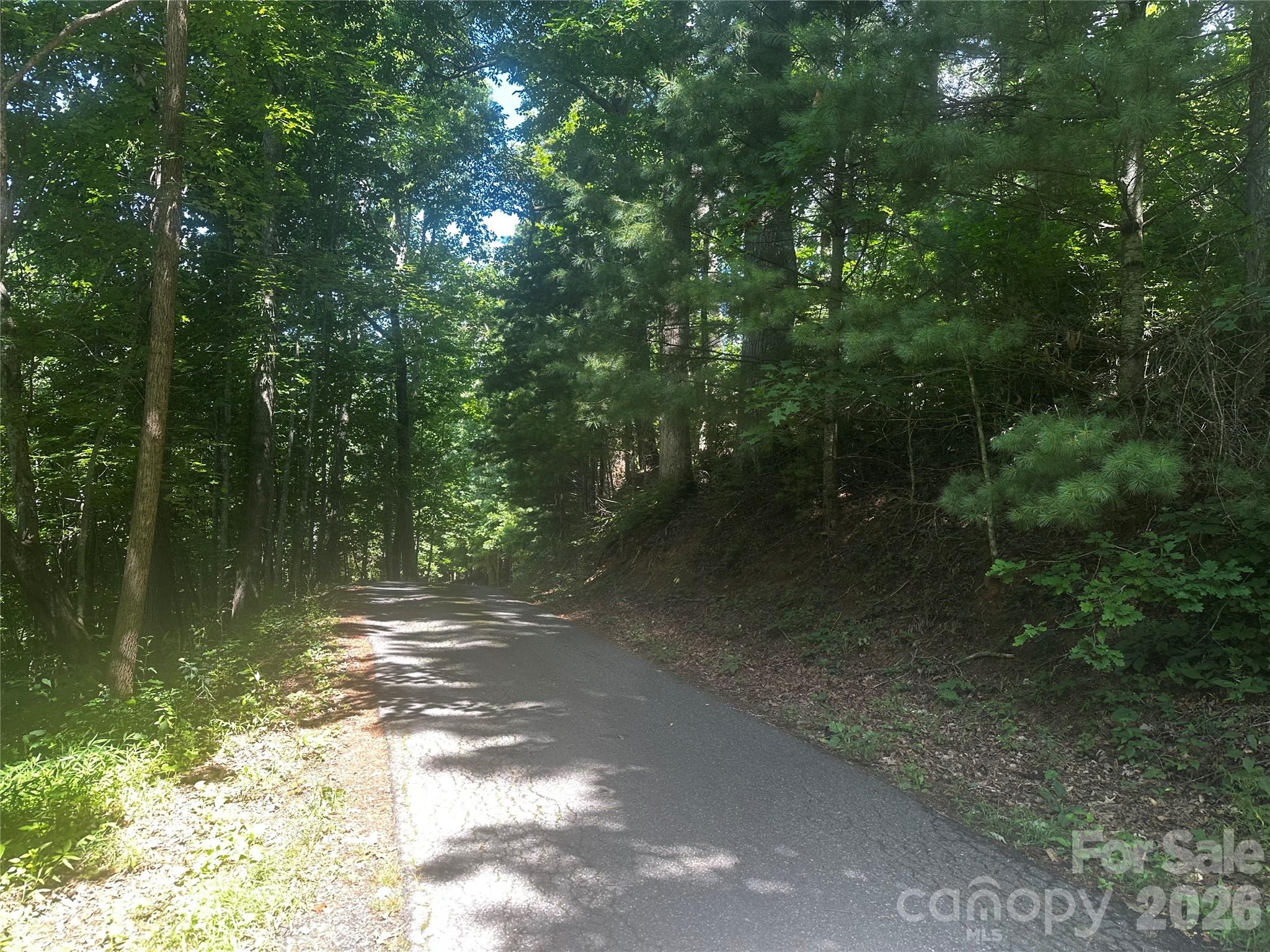 0 Ashland Mountain Road Property Photo 5