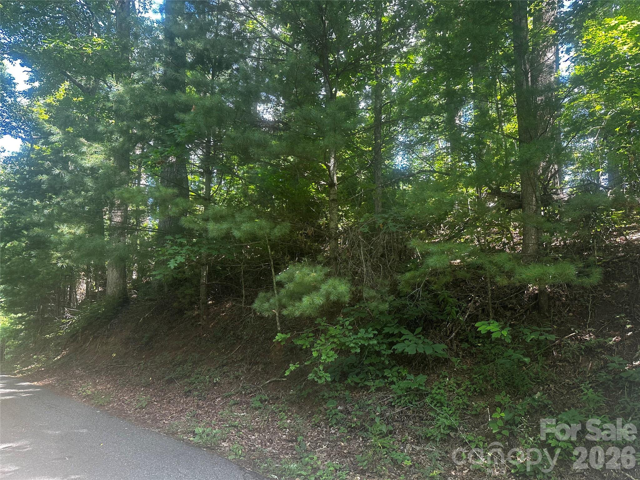 0 Ashland Mountain Road Property Photo 6