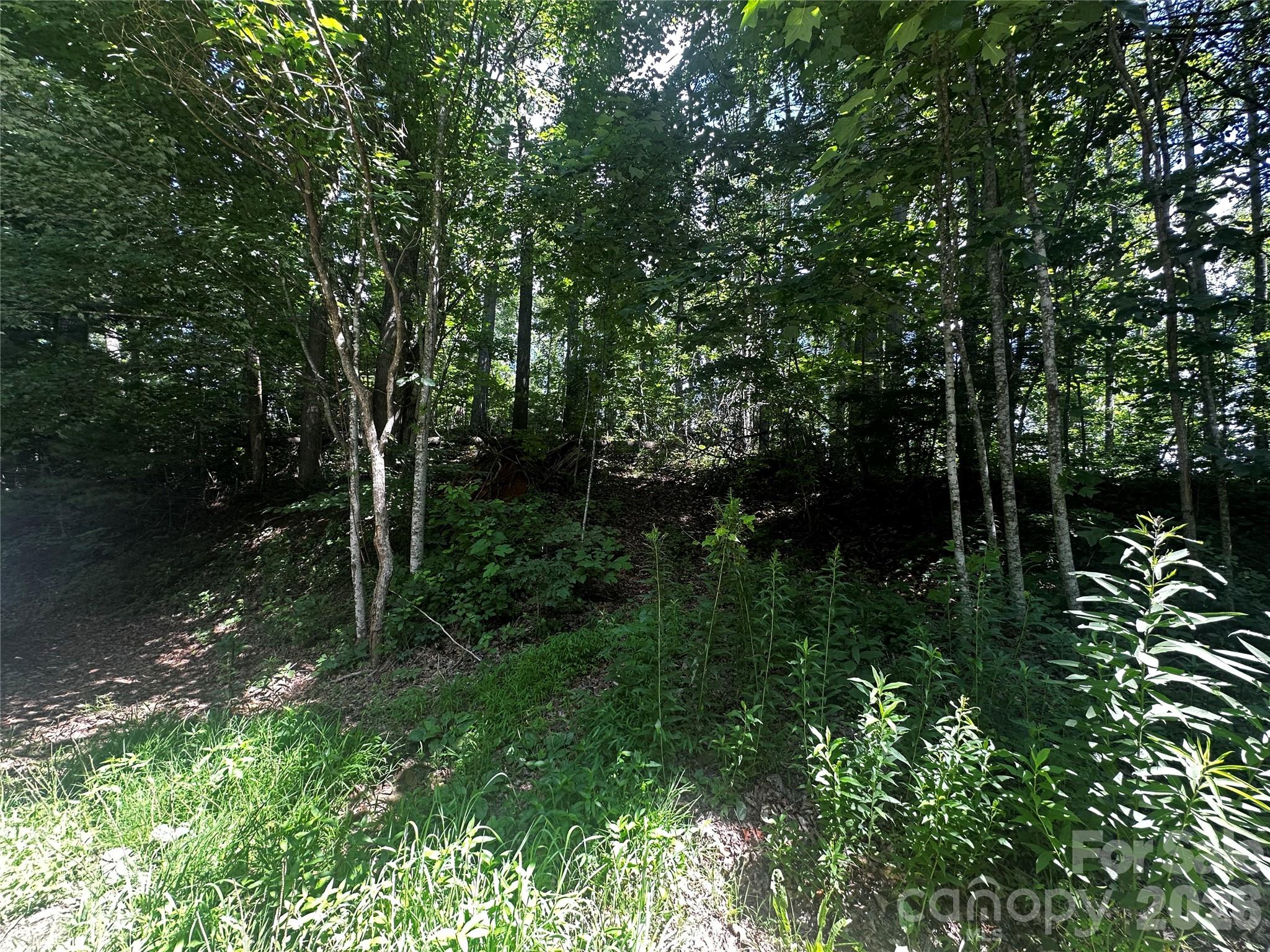 0 Ashland Mountain Road Property Photo 7