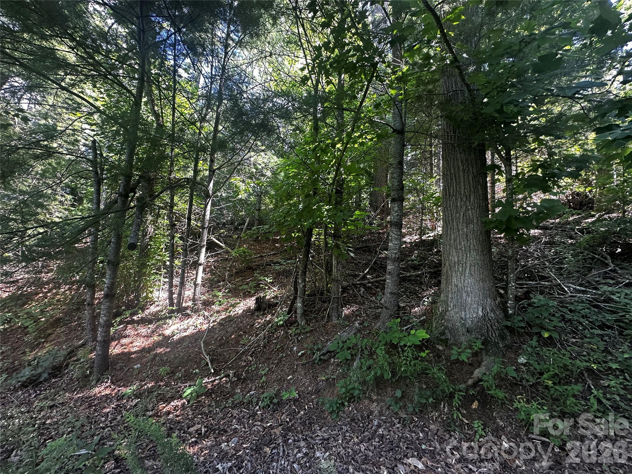 0 Ashland Mountain Road Property Photo 8