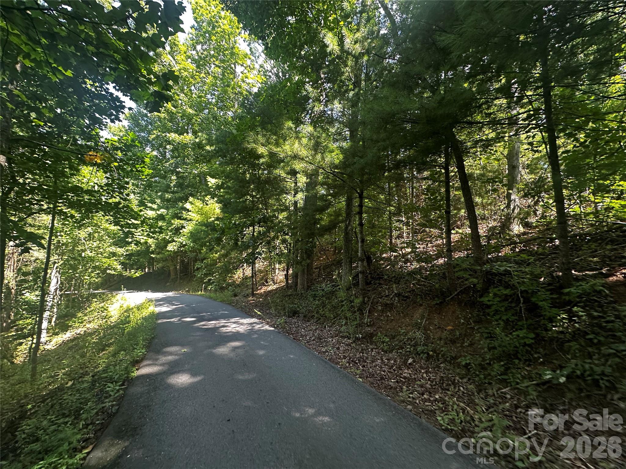 0 Ashland Mountain Road Property Photo 10