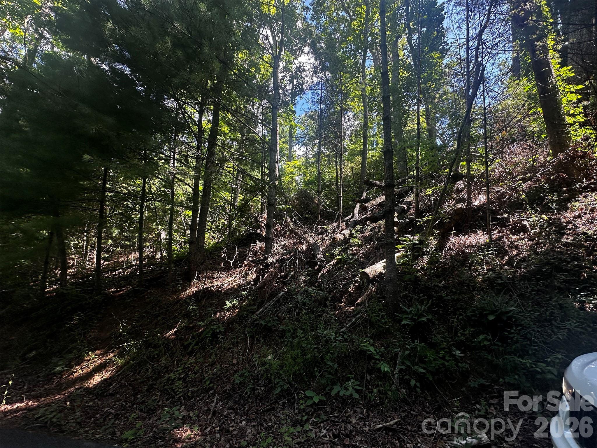 0 Ashland Mountain Road Property Photo 11