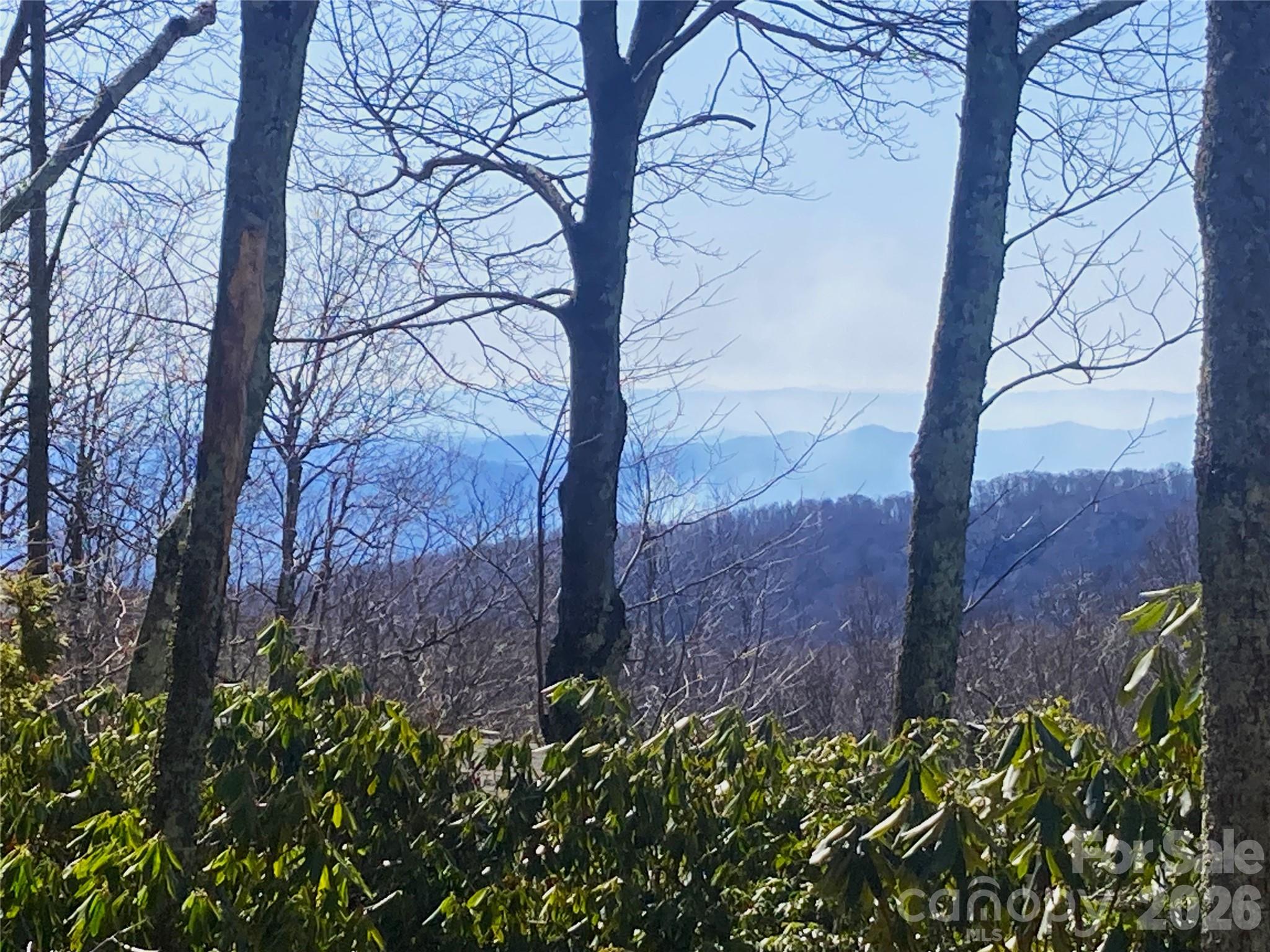 201 Jans Mountain Road Property Photo 4