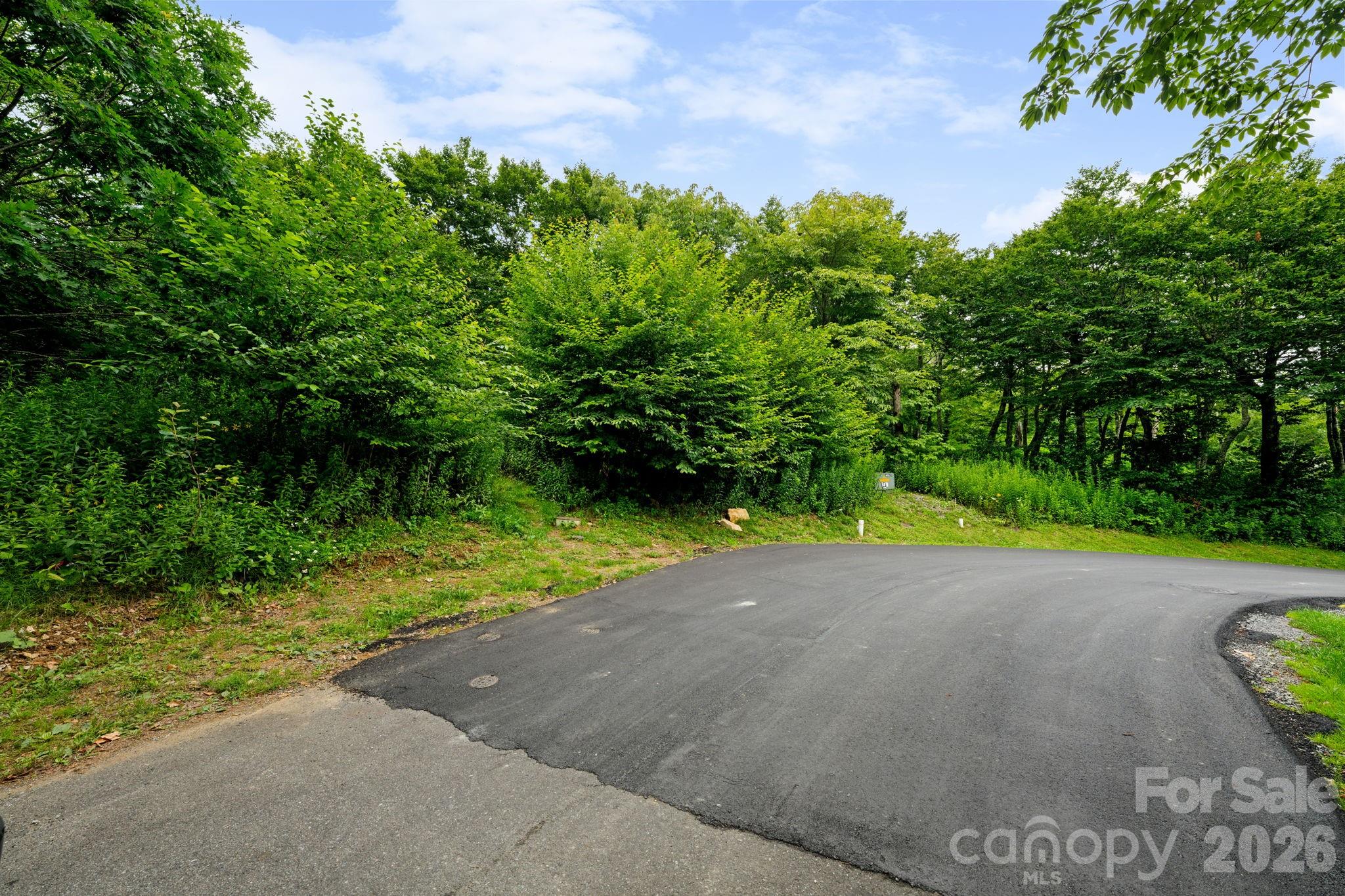 Lot 96 Cloud Spring Drive 96 Property Photo 3