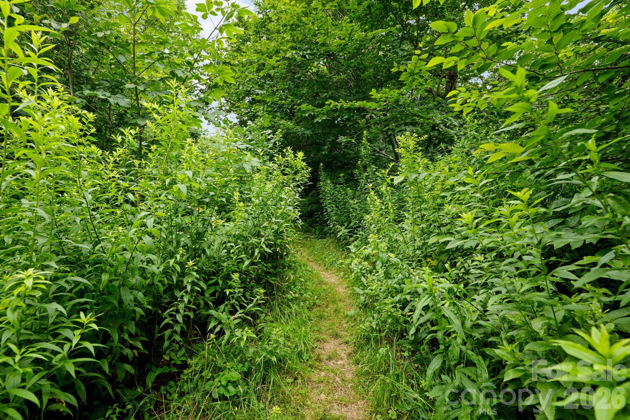 Lot 96 Cloud Spring Drive 96 Property Photo 5