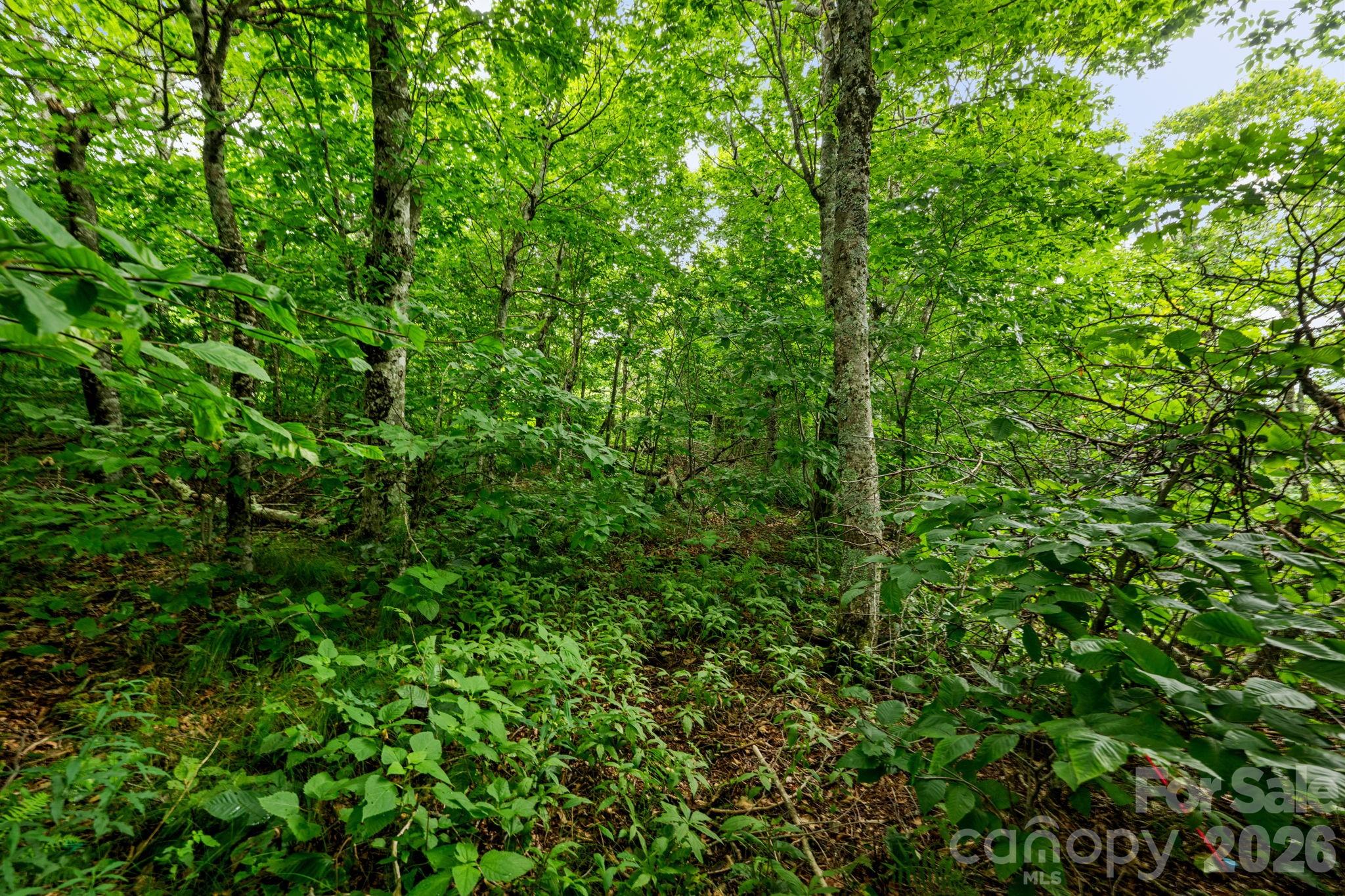 Lot 96 Cloud Spring Drive 96 Property Photo 6