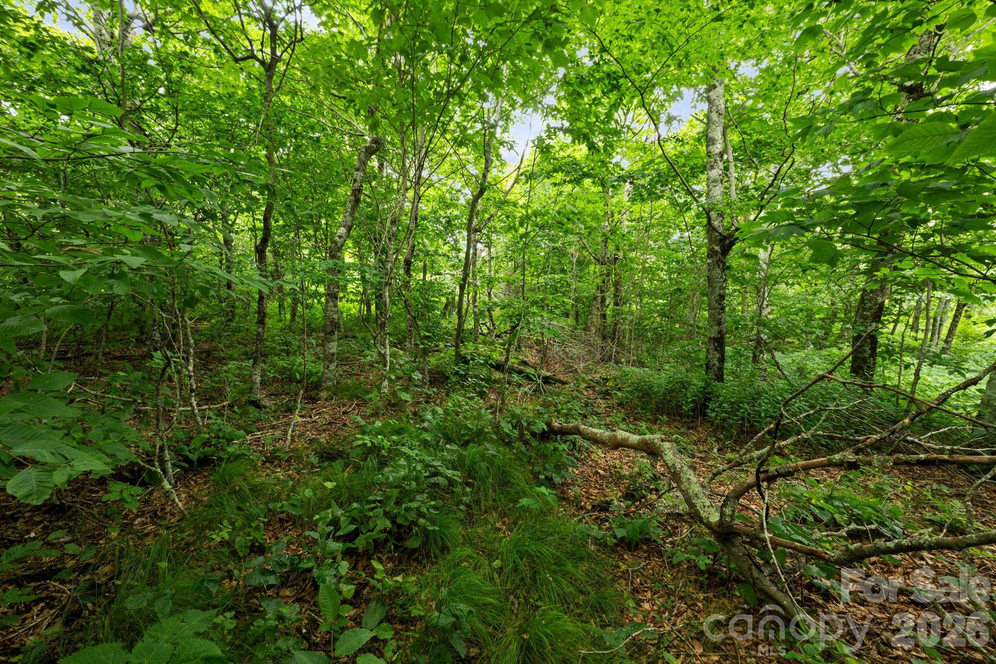 Lot 96 Cloud Spring Drive 96 Property Photo 8