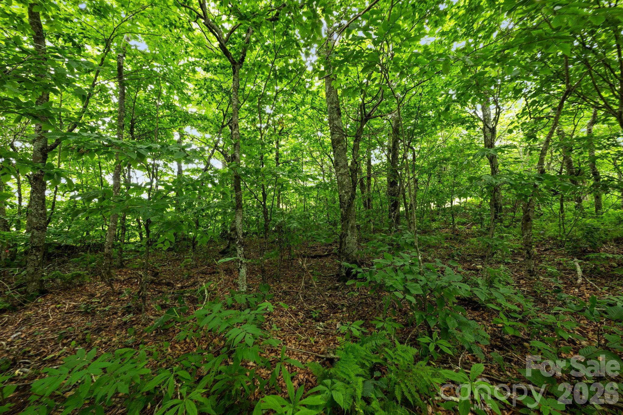 Lot 96 Cloud Spring Drive 96 Property Photo 9