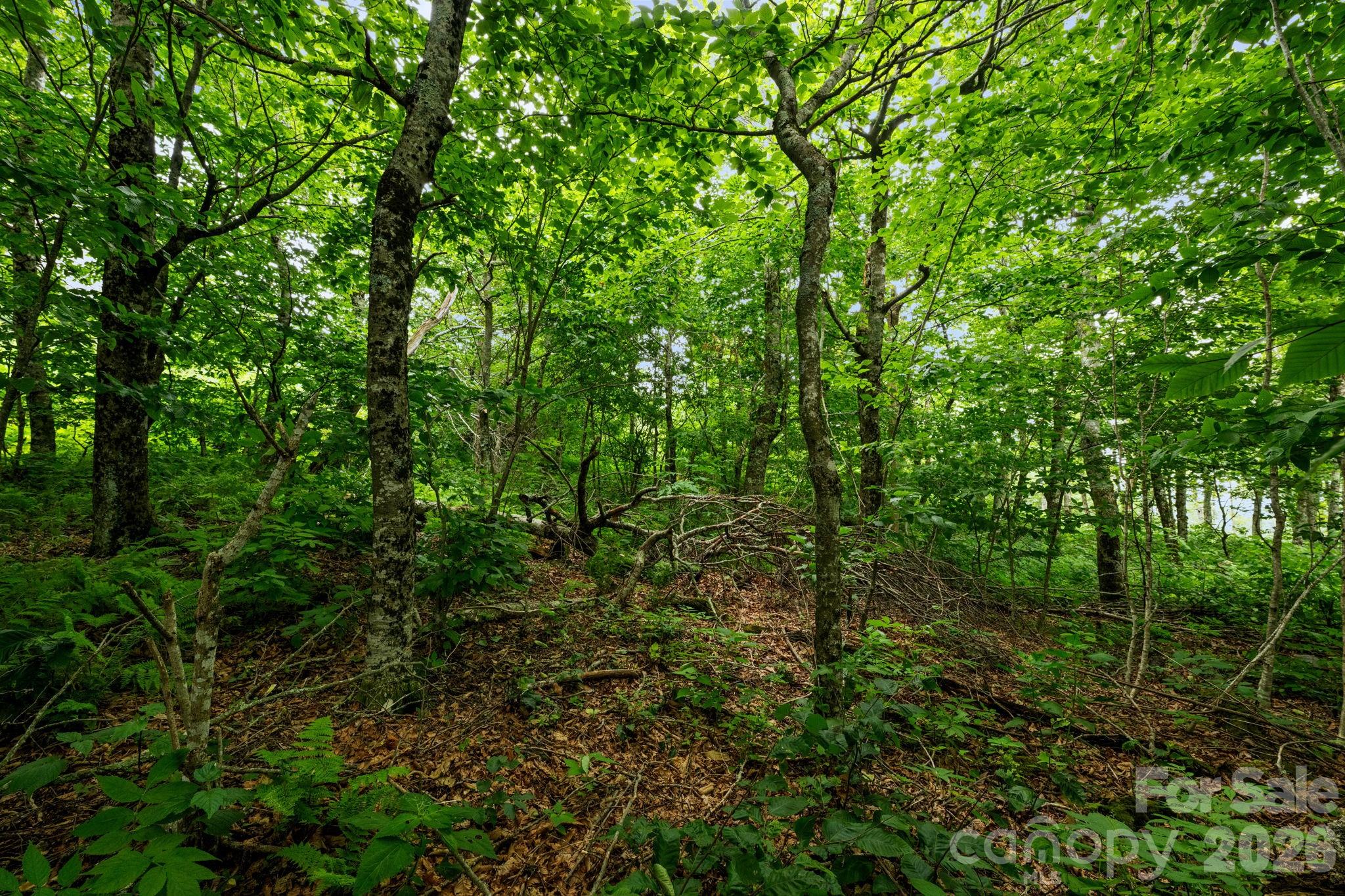 Lot 96 Cloud Spring Drive 96 Property Photo 10