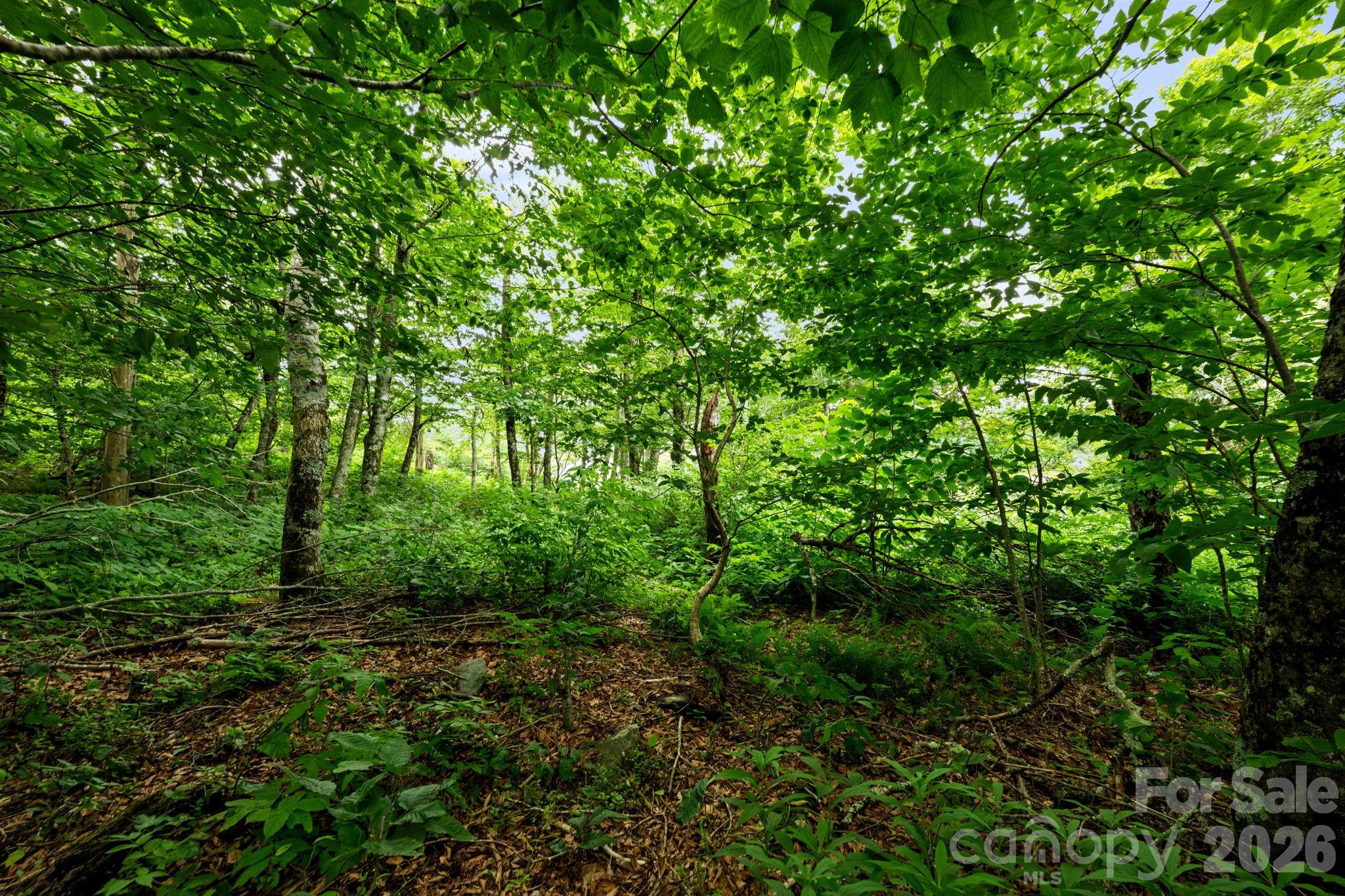 Lot 96 Cloud Spring Drive 96 Property Photo 11