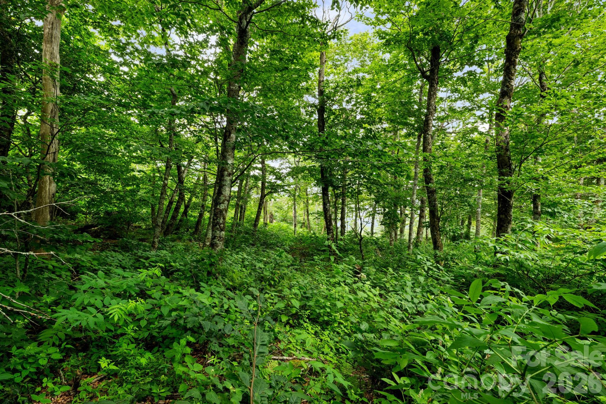 Lot 96 Cloud Spring Drive 96 Property Photo 12
