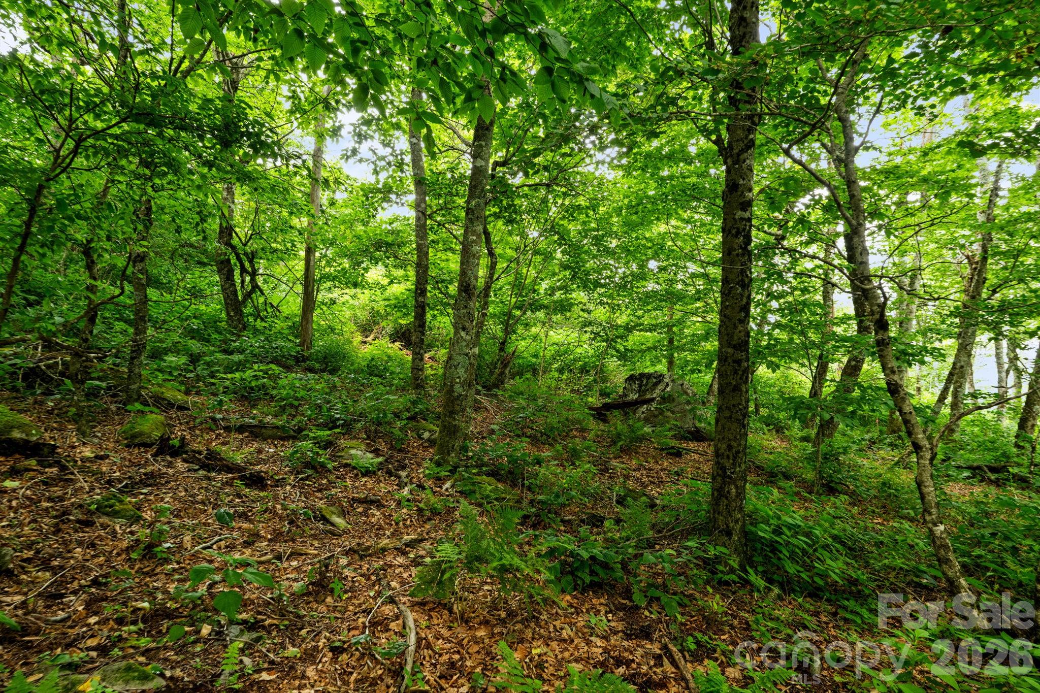 Lot 96 Cloud Spring Drive 96 Property Photo 13
