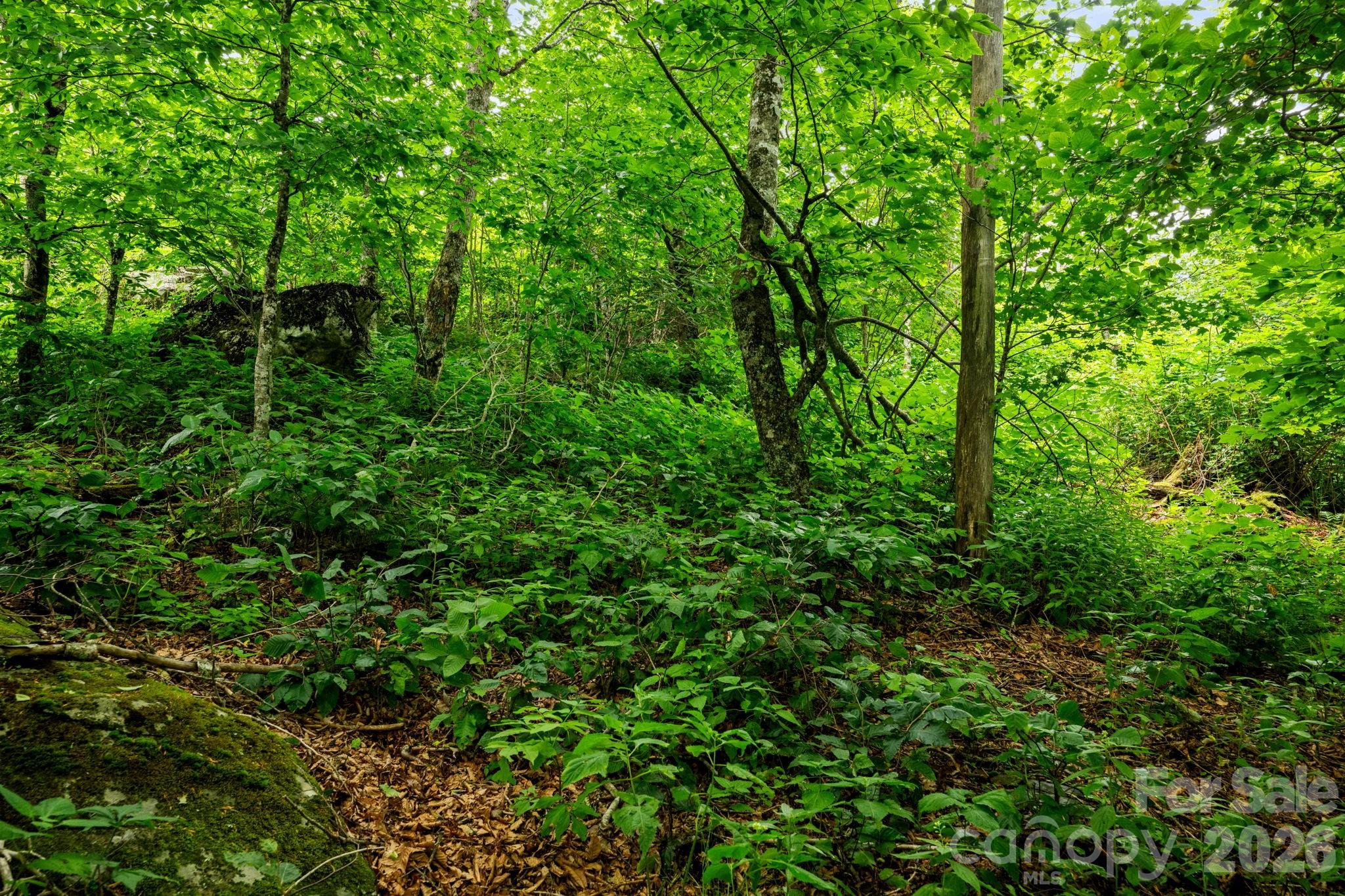 Lot 96 Cloud Spring Drive 96 Property Photo 14