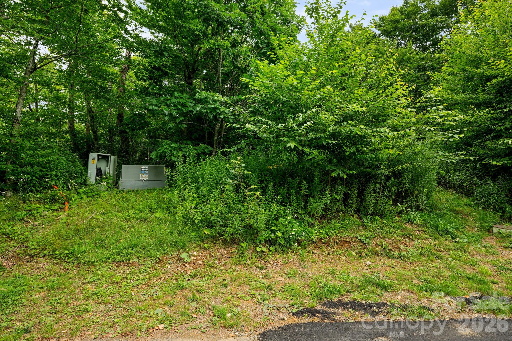 Lot 96 Cloud Spring Drive 96 Property Photo 15