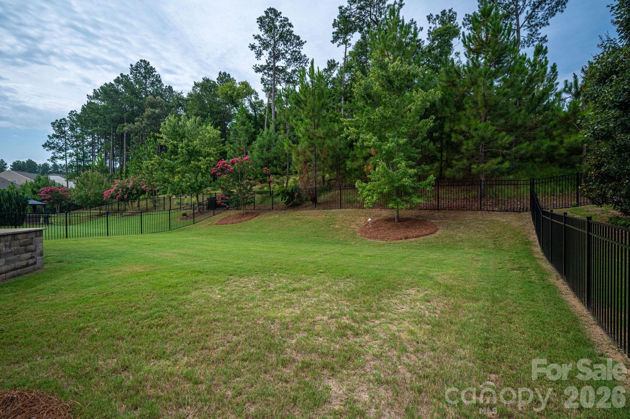368 Picasso Trail Property Photo 37