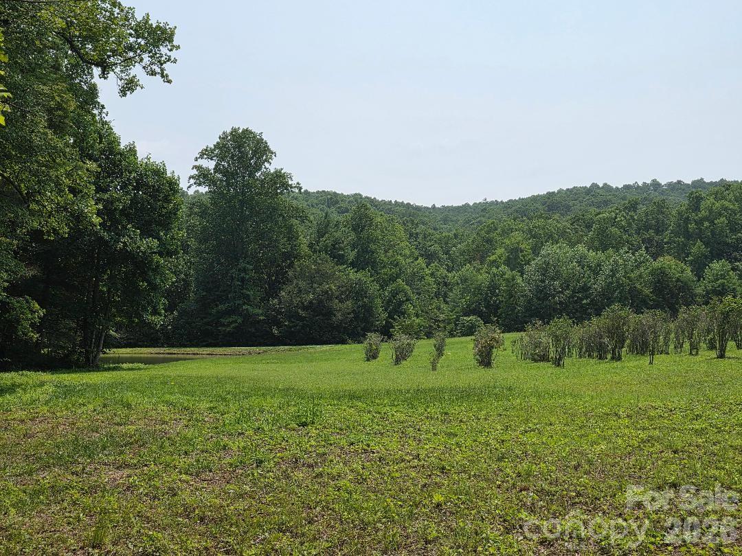 Lot 4 Appalachian Retreat None Property Photo 3