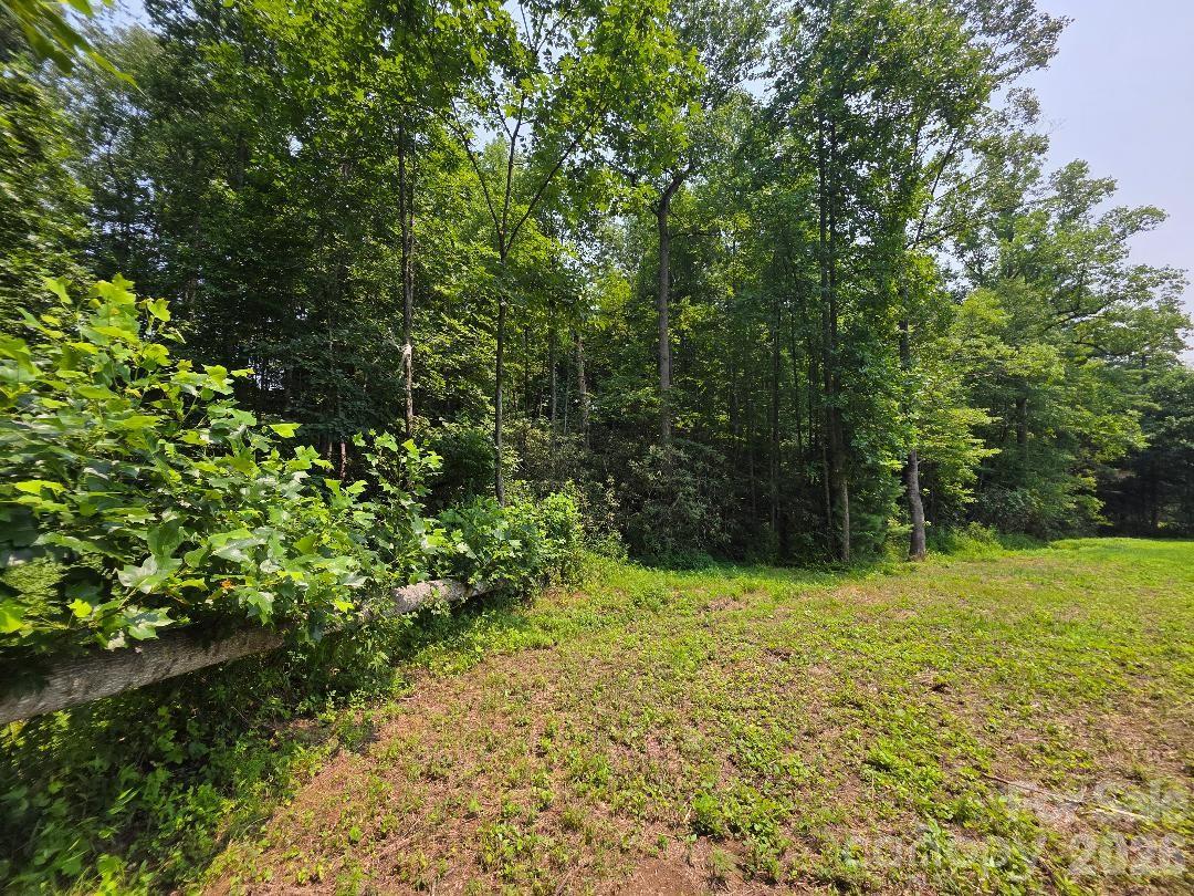 Lot 4 Appalachian Retreat None Property Photo 4