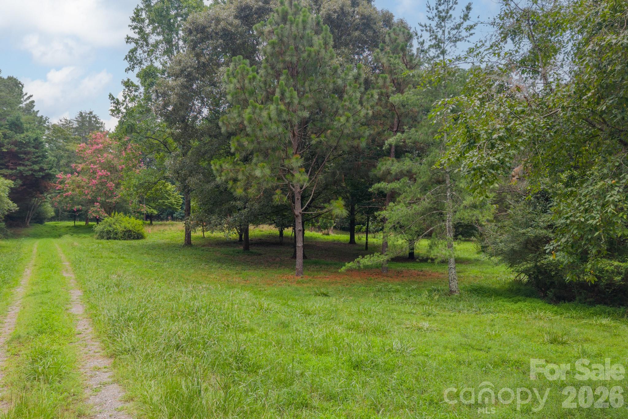 2232 Grey Road Property Photo 1