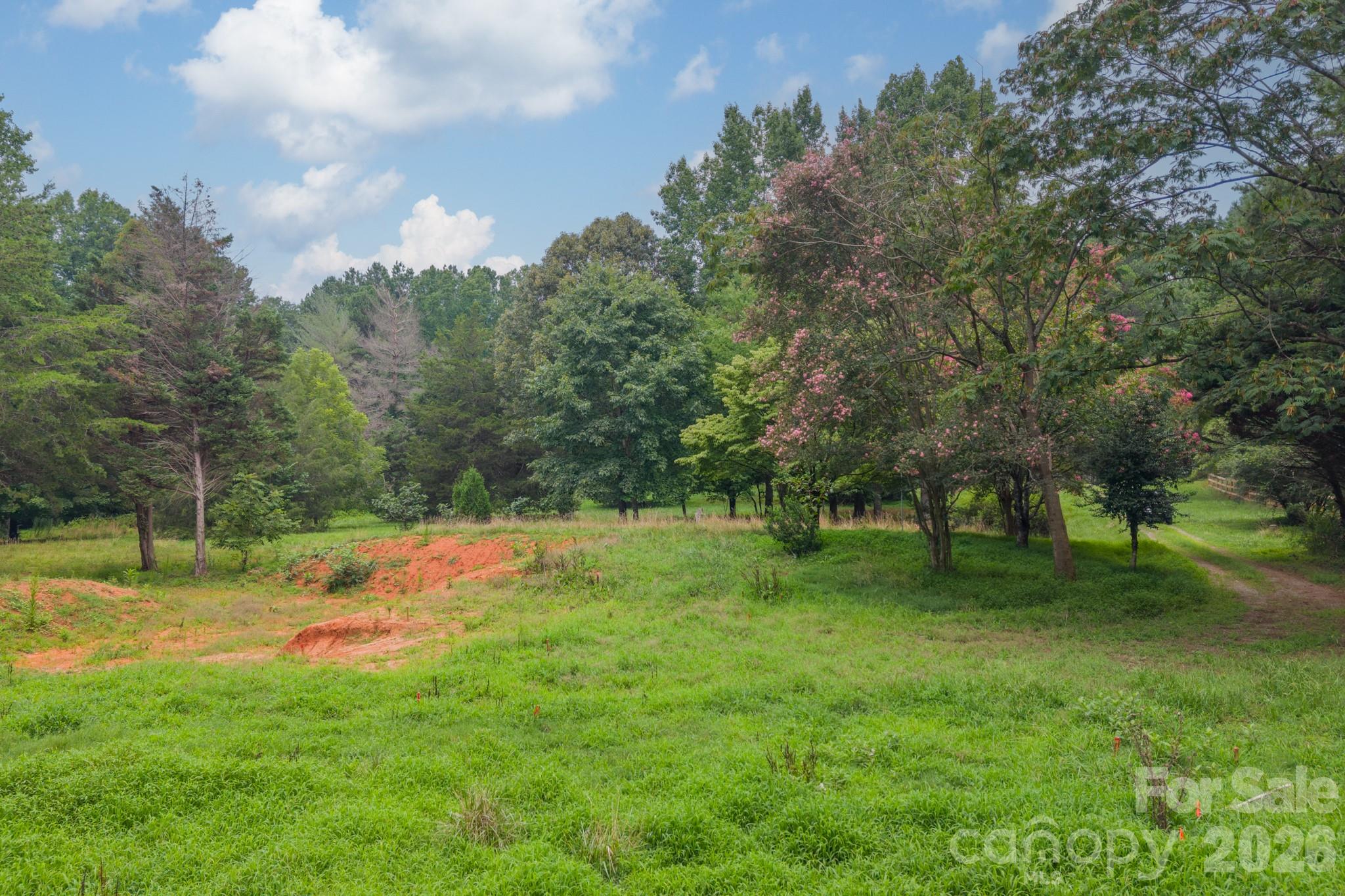 2232 Grey Road Property Photo 4