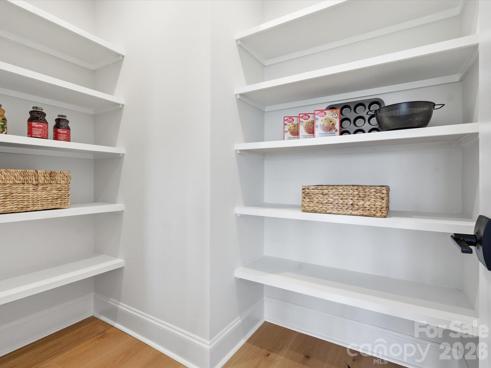 6028 Yellow Buckeye Drive Property Photo 6