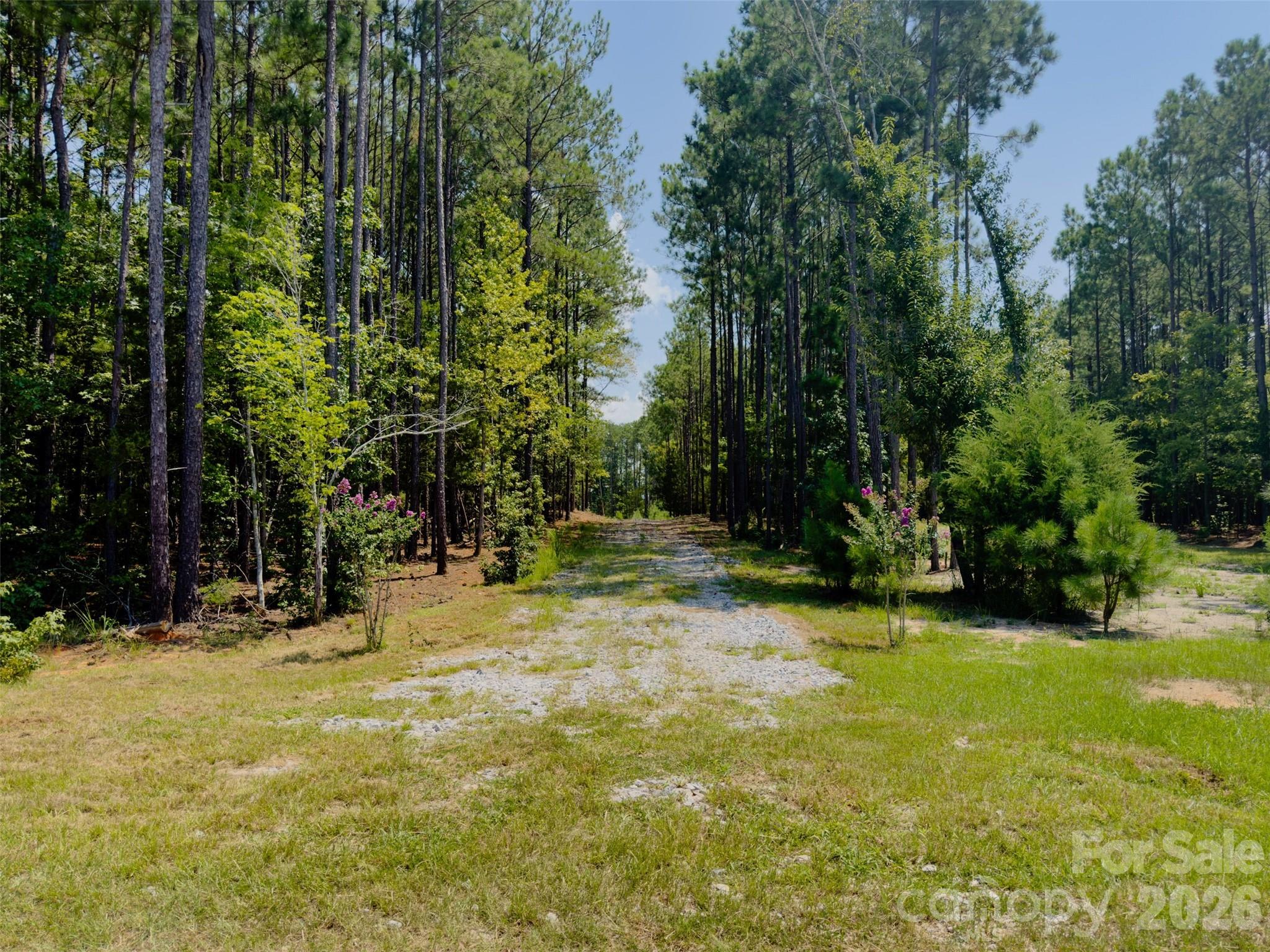 955 Cole Trestle Road Property Photo 2