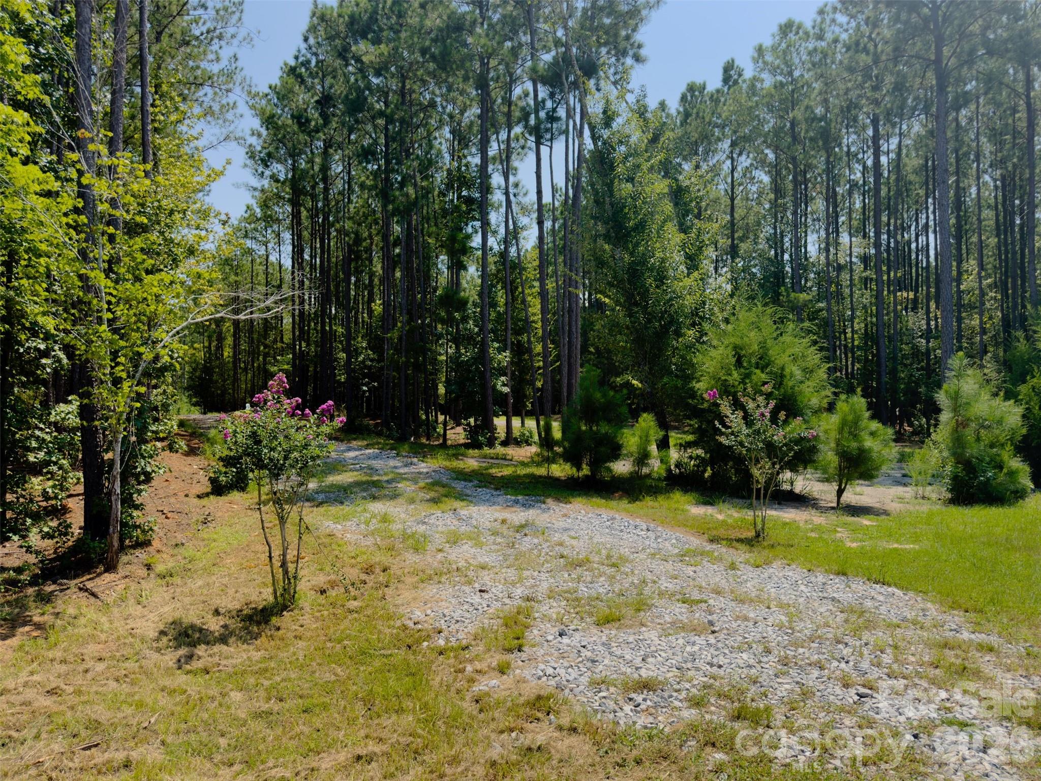 955 Cole Trestle Road Property Photo 3