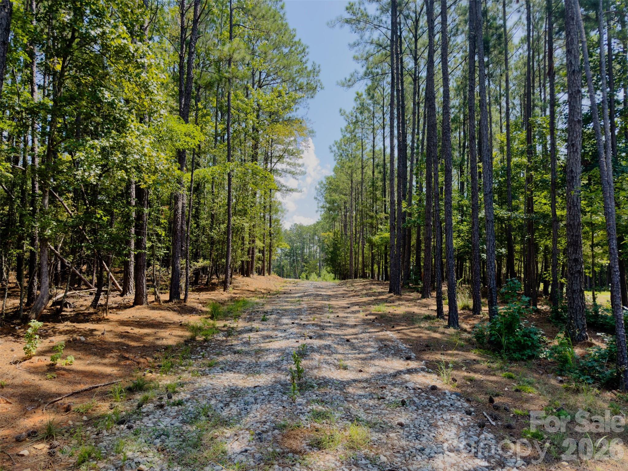 955 Cole Trestle Road Property Photo 4
