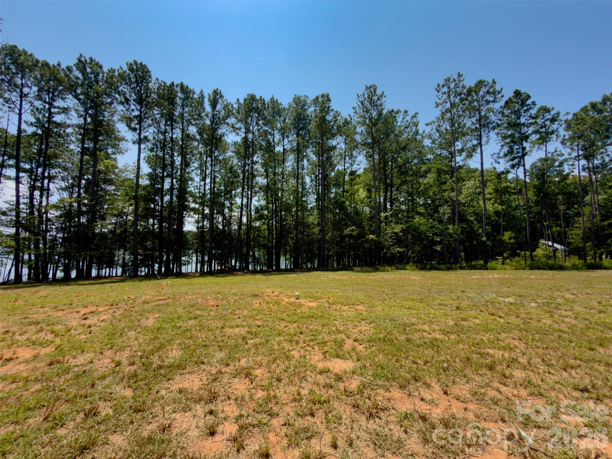 955 Cole Trestle Road Property Photo 10
