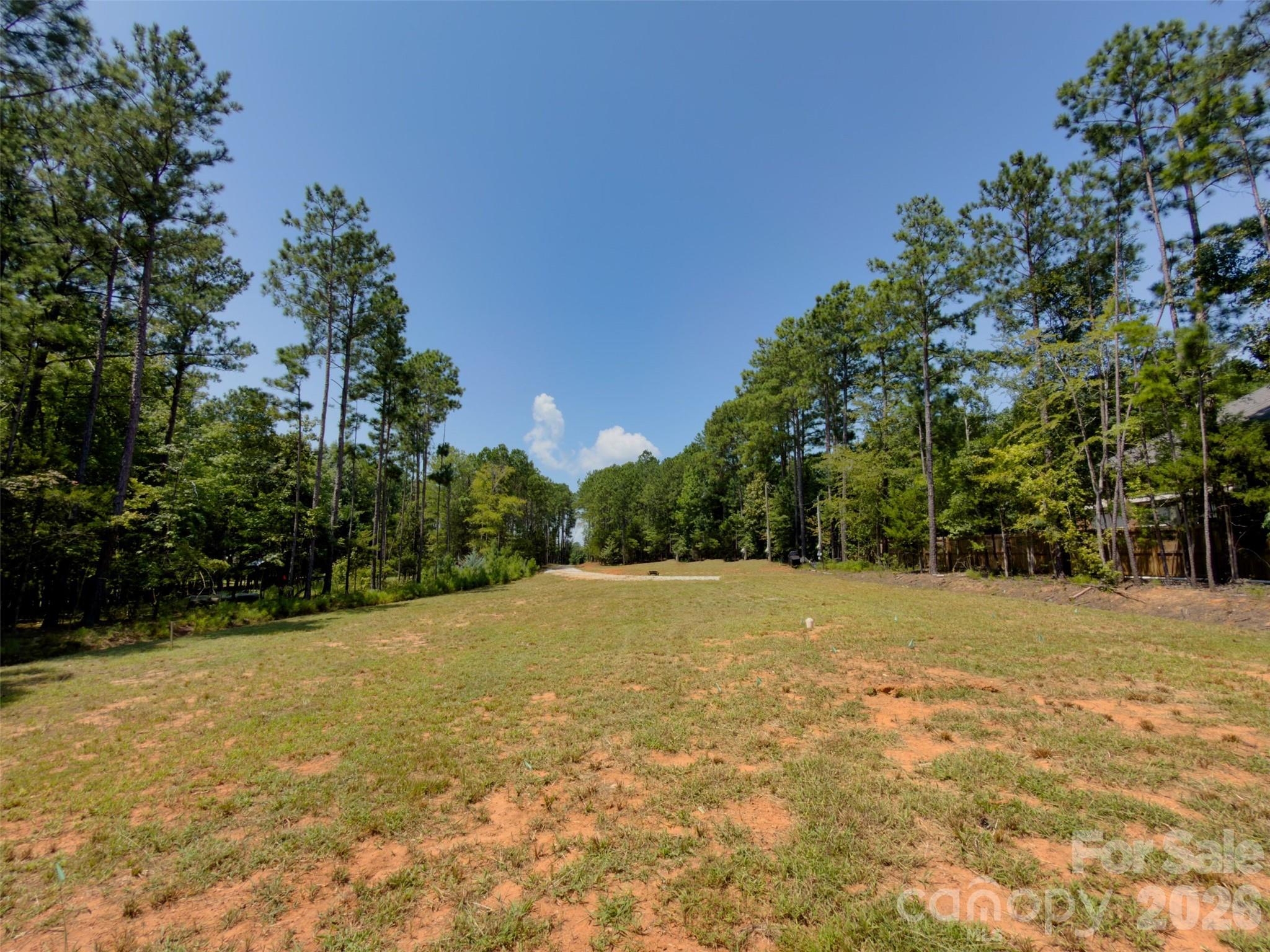 955 Cole Trestle Road Property Photo 11
