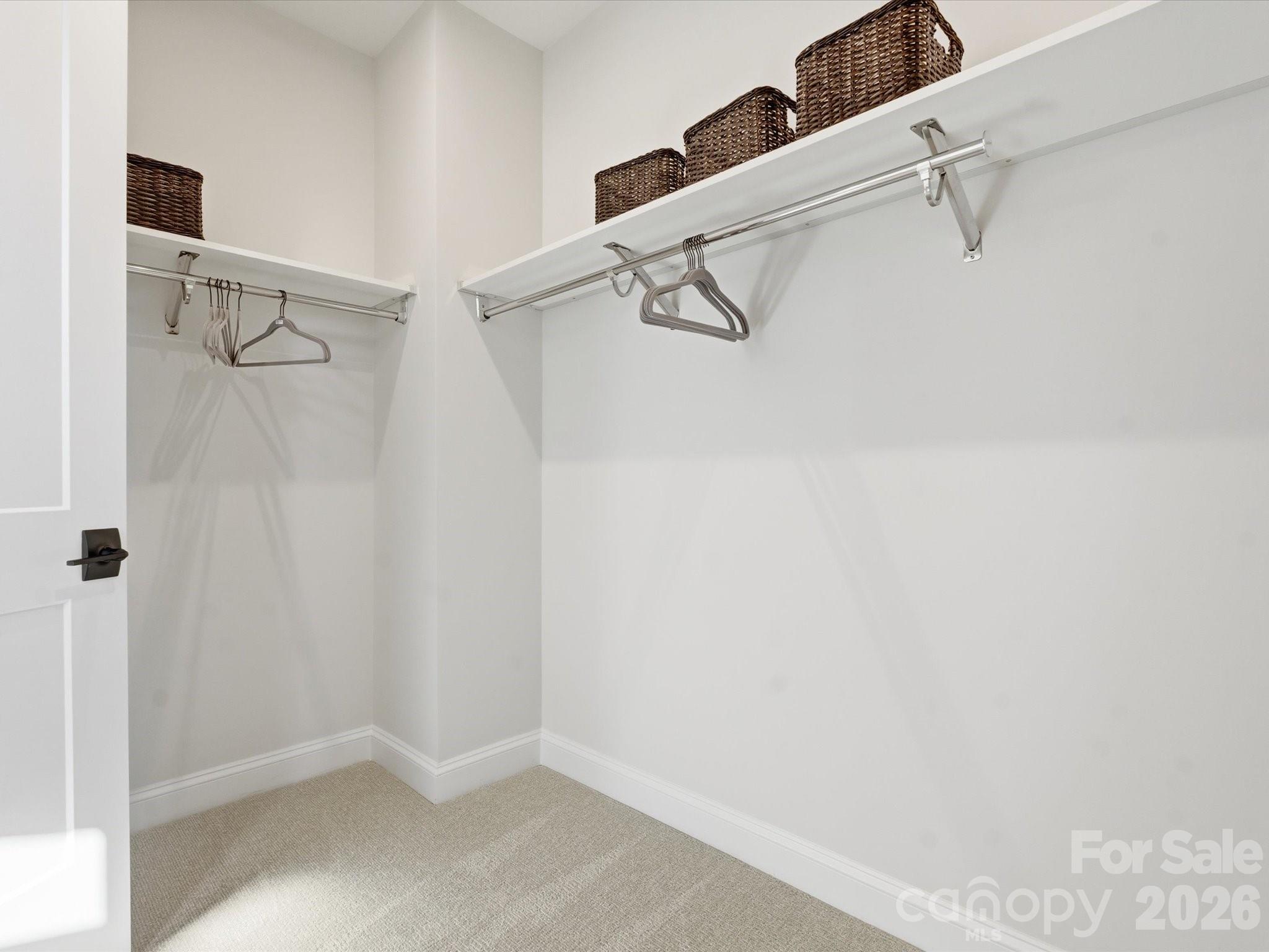 6036 Yellow Buckeye Drive Property Photo 28