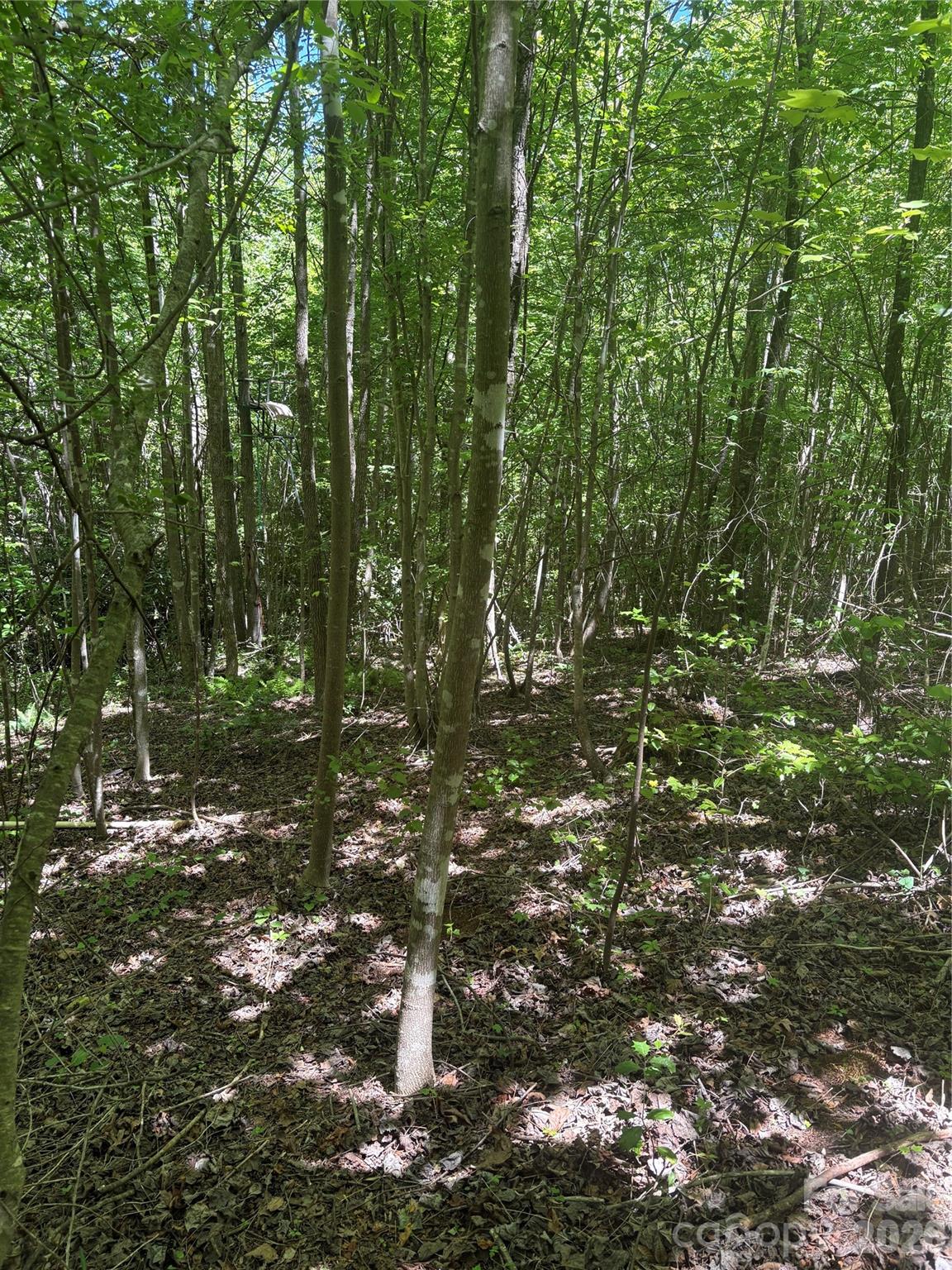 0 E Pine Hill Avenue Property Photo 17