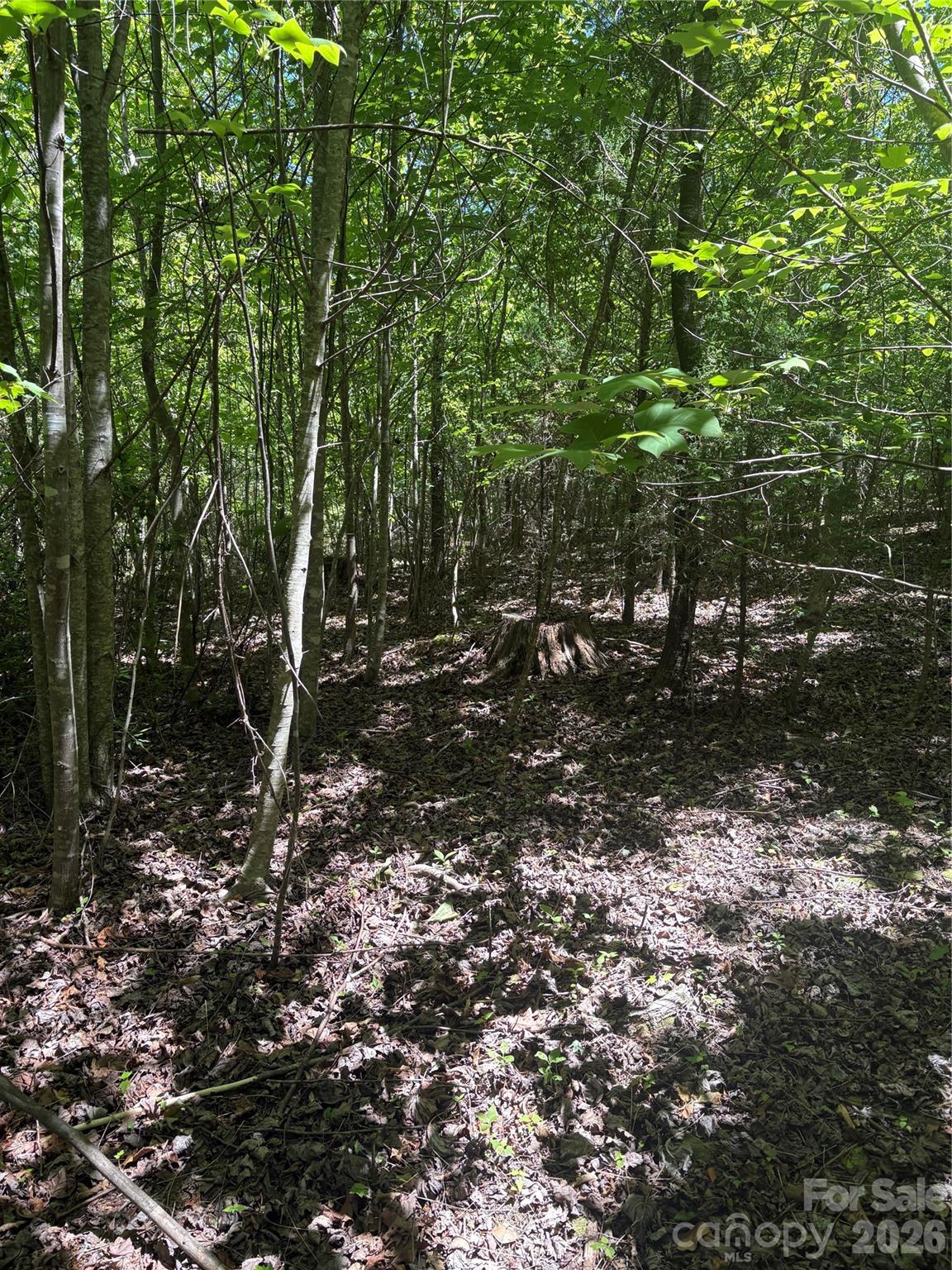 0 E Pine Hill Avenue Property Photo 18