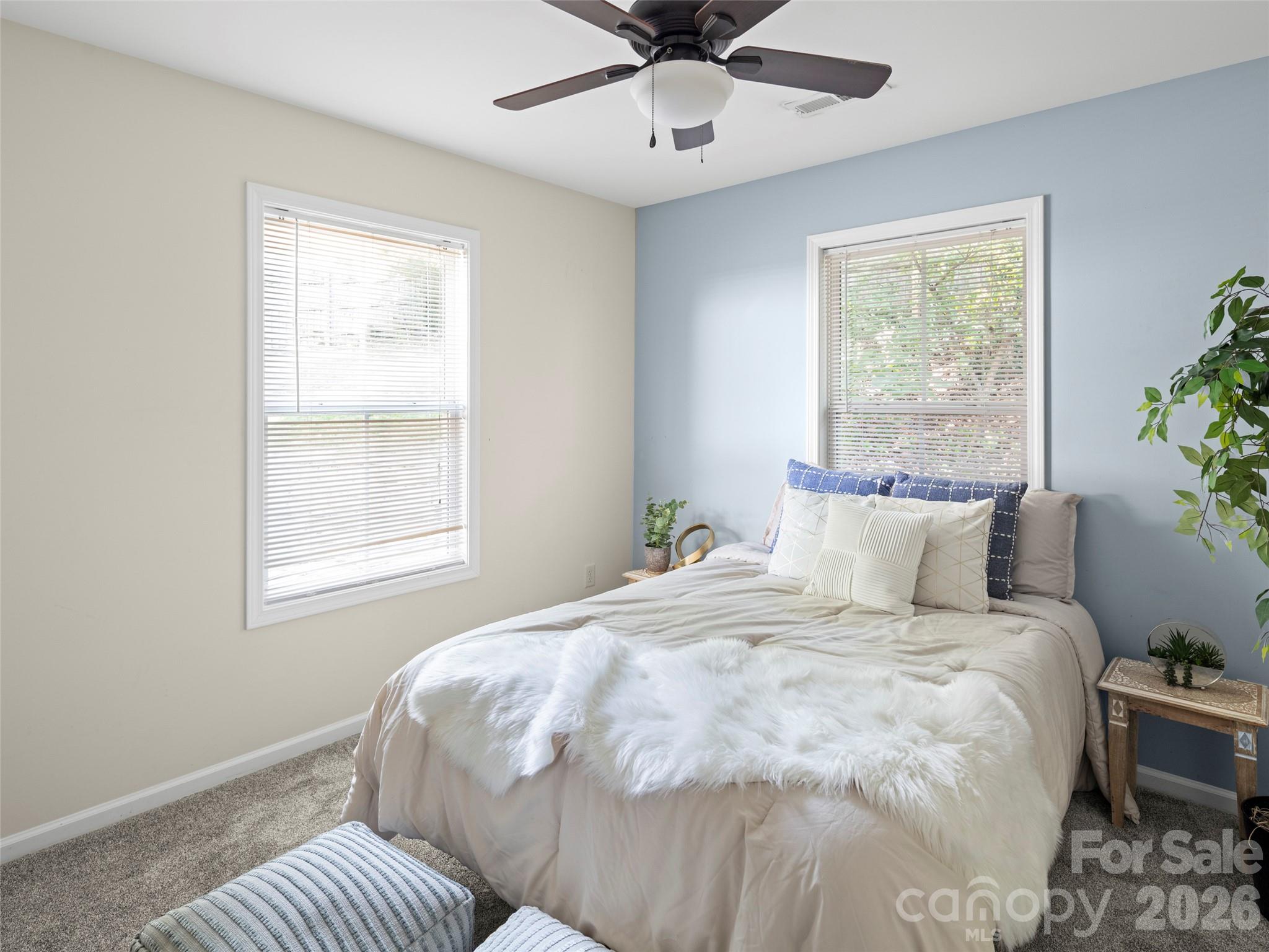 49 East Street Property Photo 19