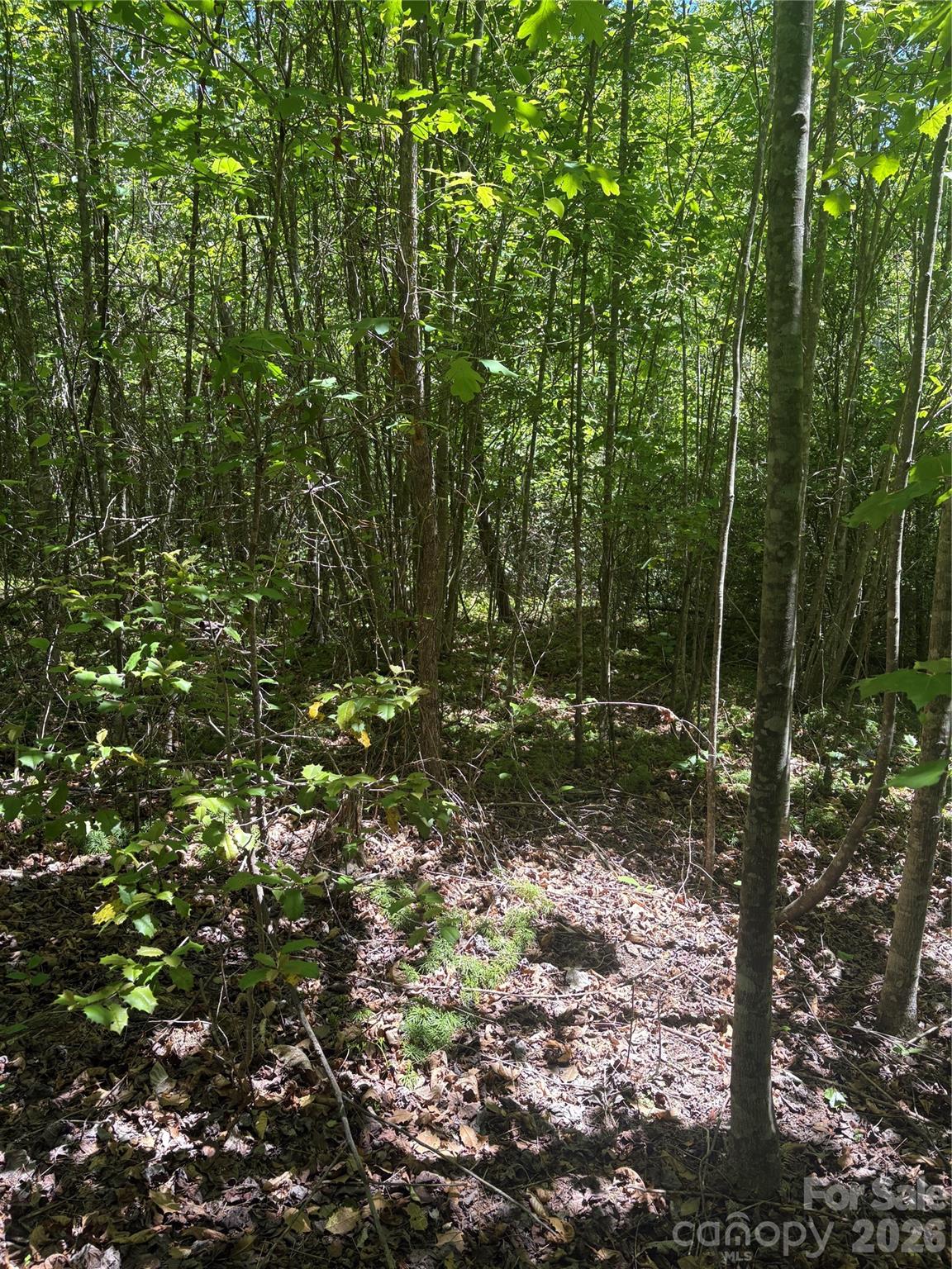 0 E Pine Hill Avenue Property Photo 16