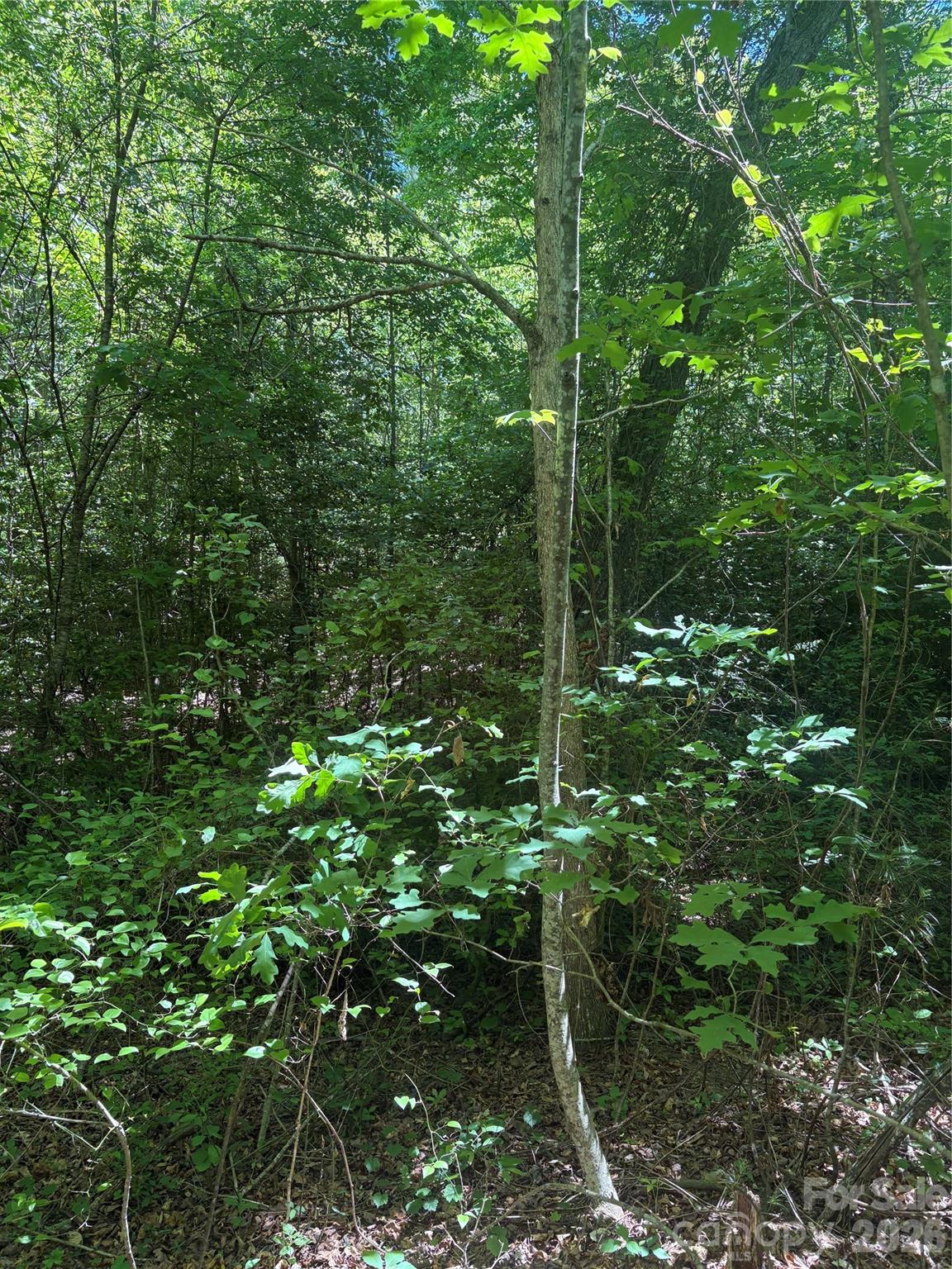 0 E Pine Hill Avenue Property Photo 16